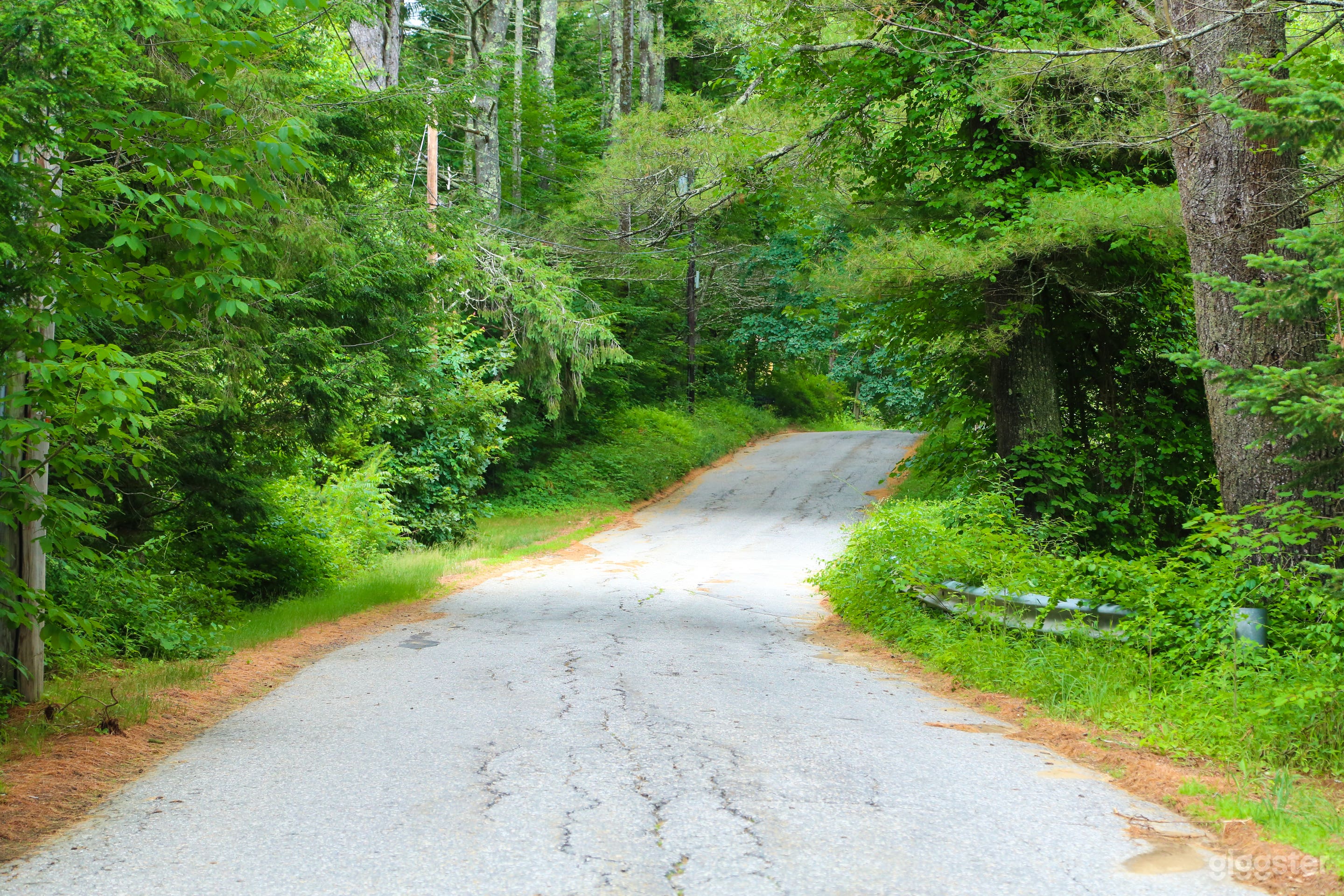 The road to Sunnybrook