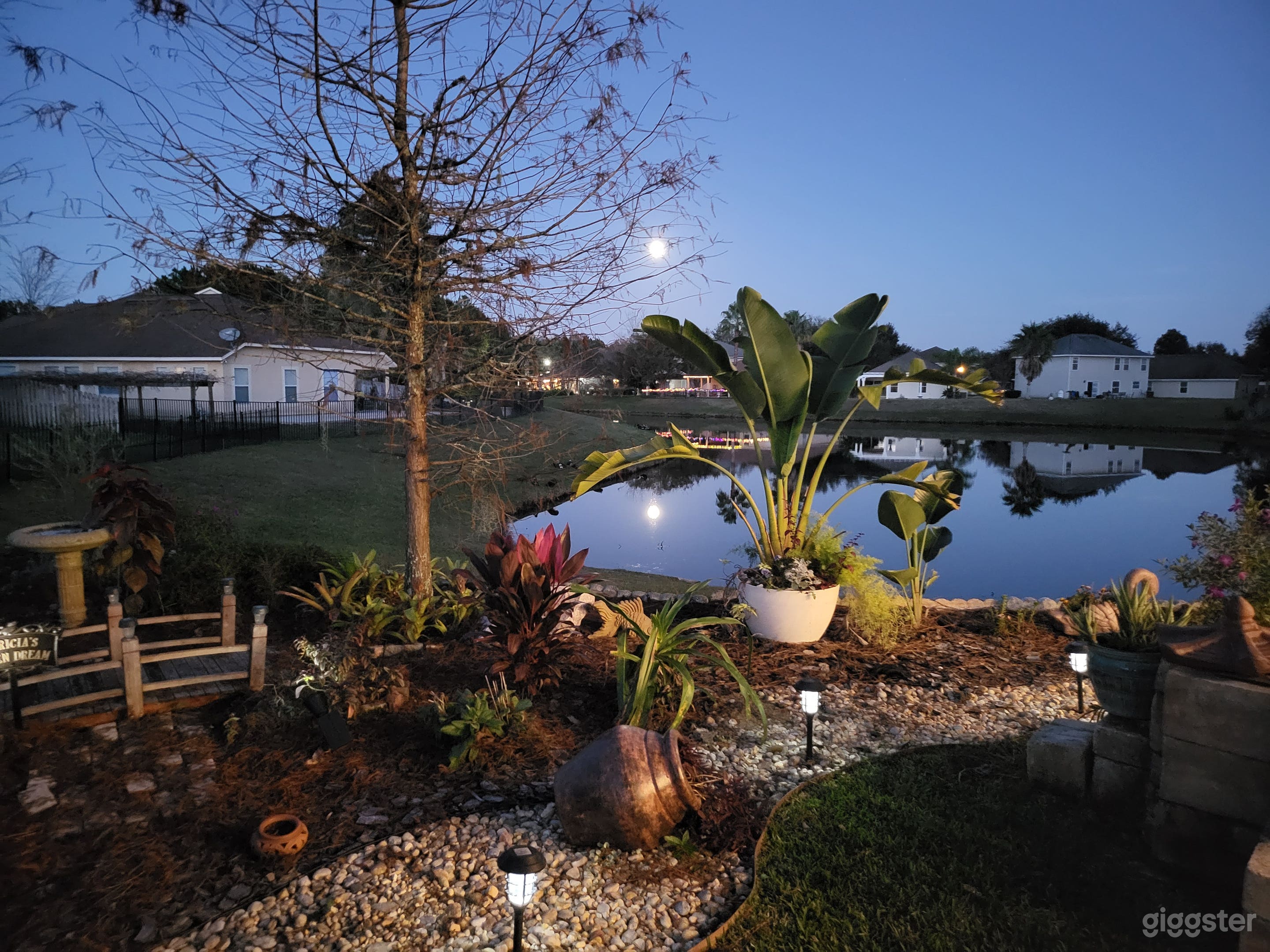 Garden view