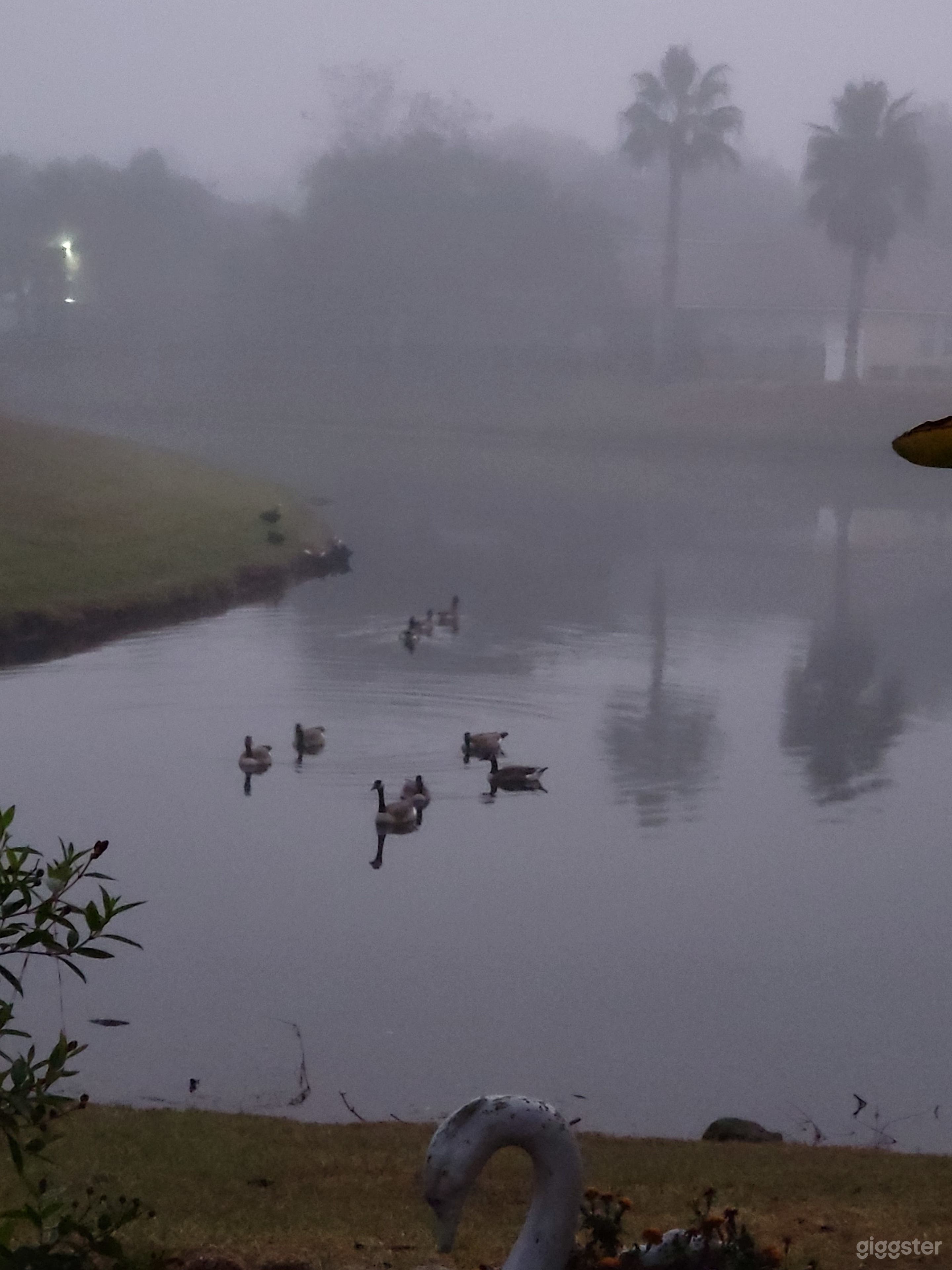 Lakeview on a foggy morning.  