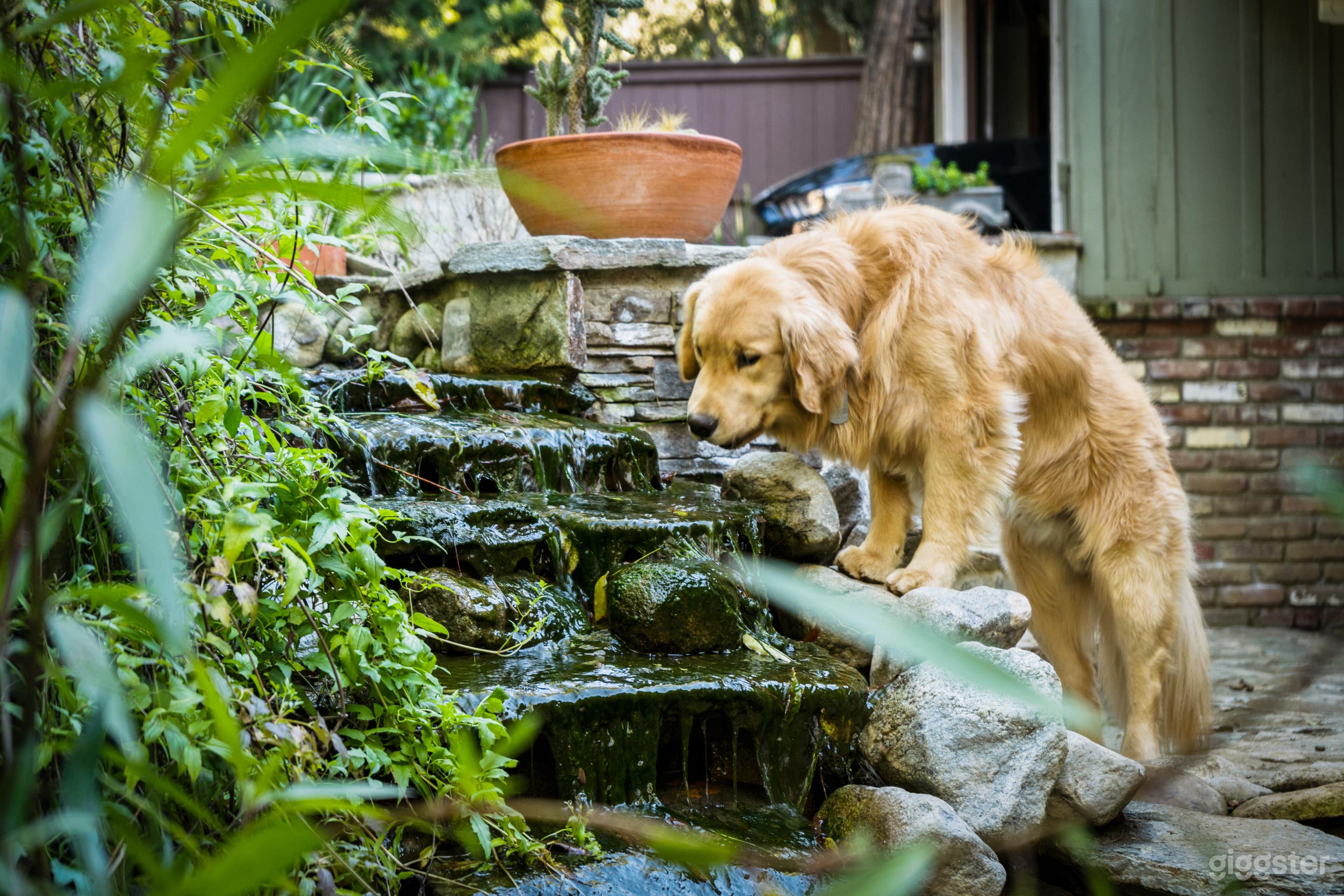 RUSTIC CABIN OASIS IN LA'S MULHOLLAND DRIVE  Photo 3