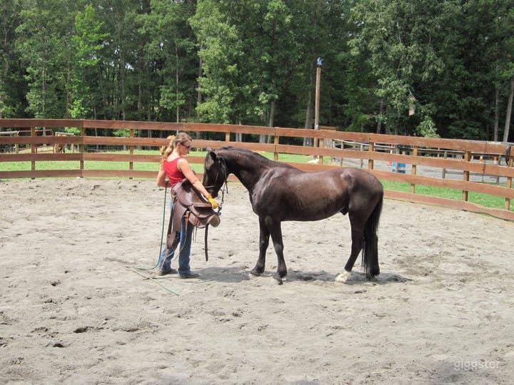  Luxury Equestrian Stables club house pool tennis 