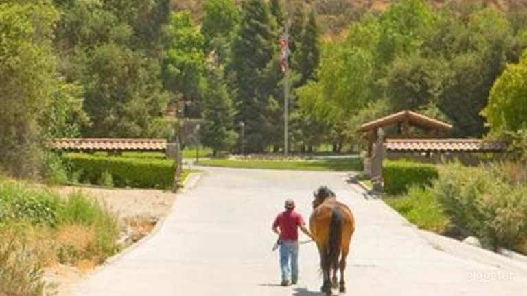  Luxury Equestrian Stables club house pool tennis 