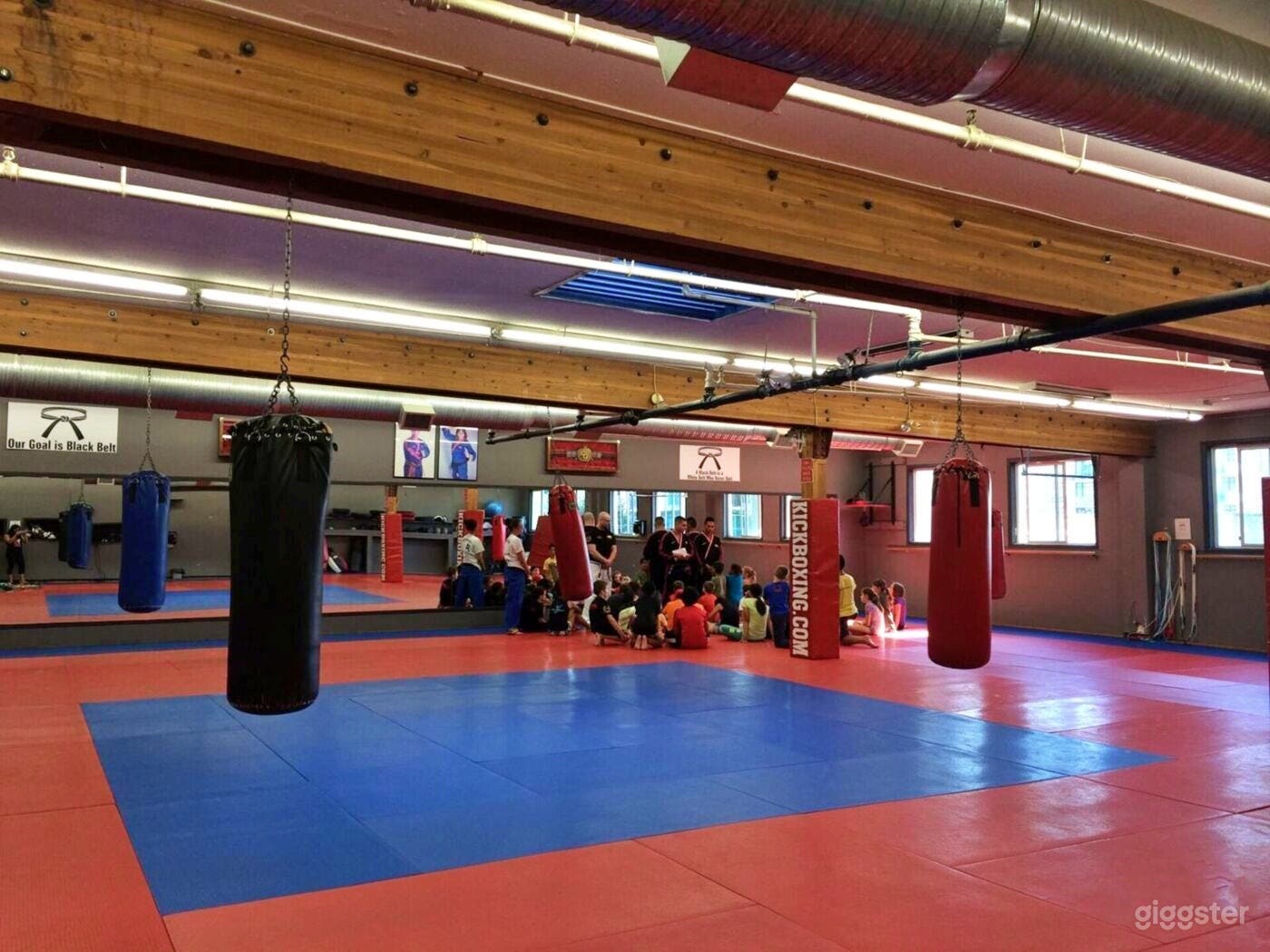 Brazilian Jiu-Jitsu Studio for Filming Photo 1