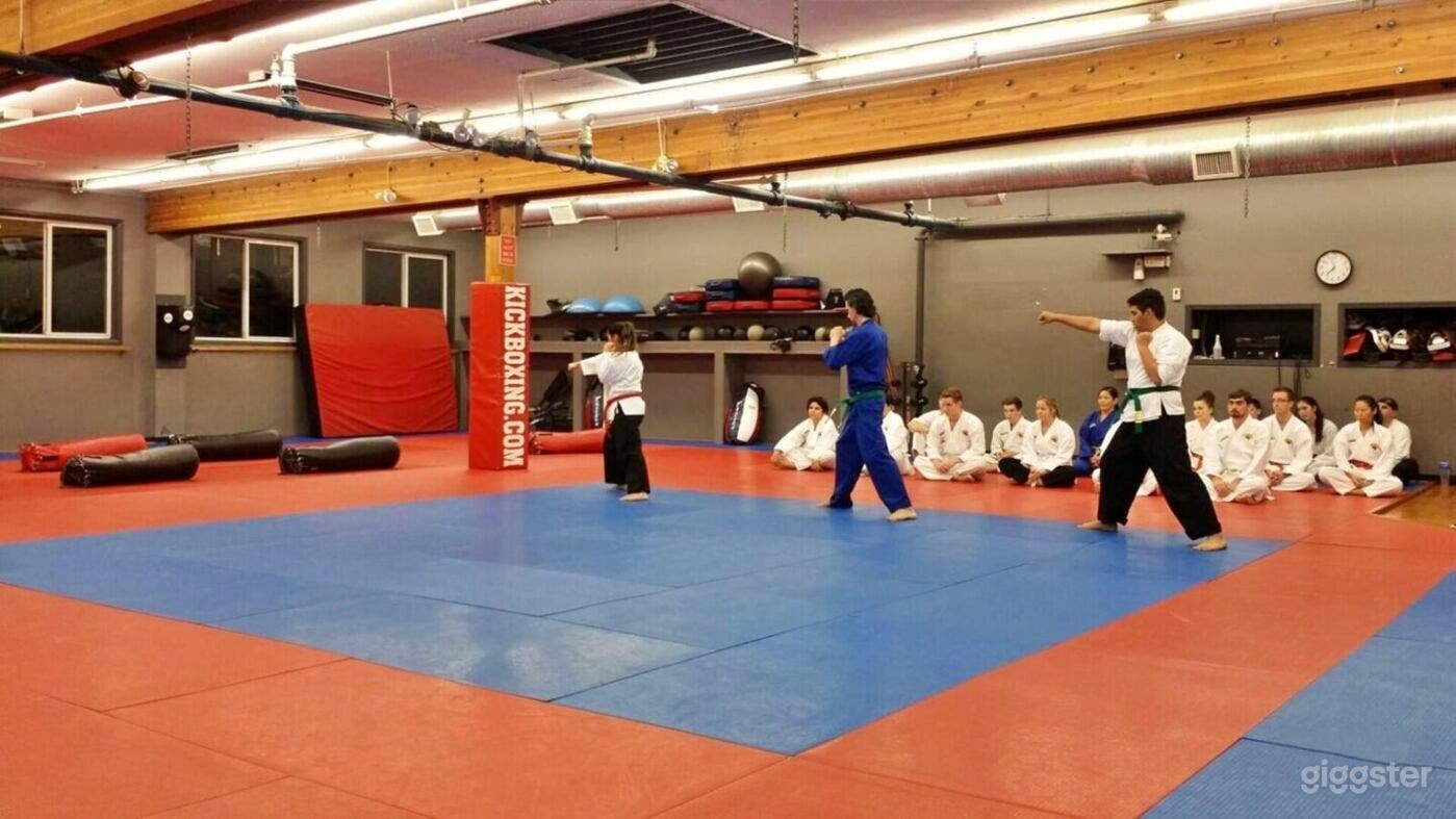 Brazilian Jiu-Jitsu Studio for Filming Photo 4
