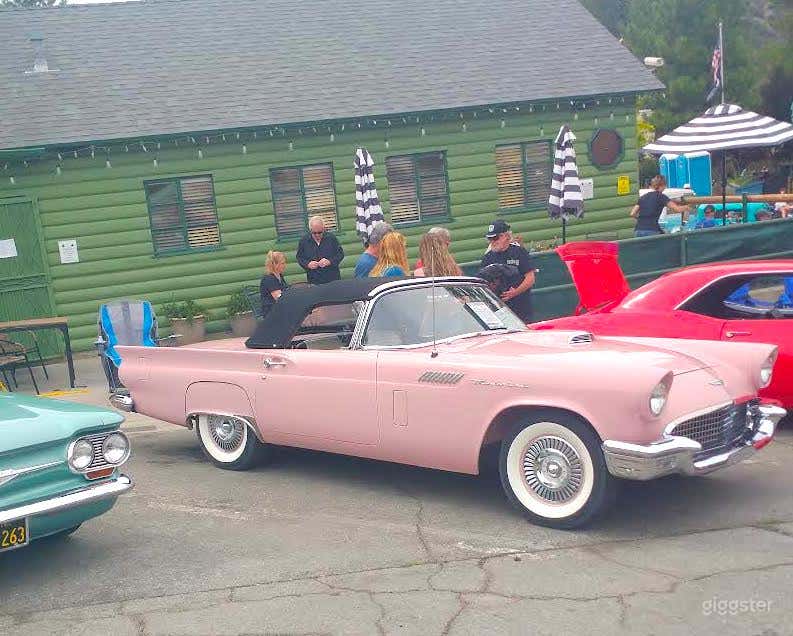 #76,063 Classic 1957 Ford Thunderbird Photo 4