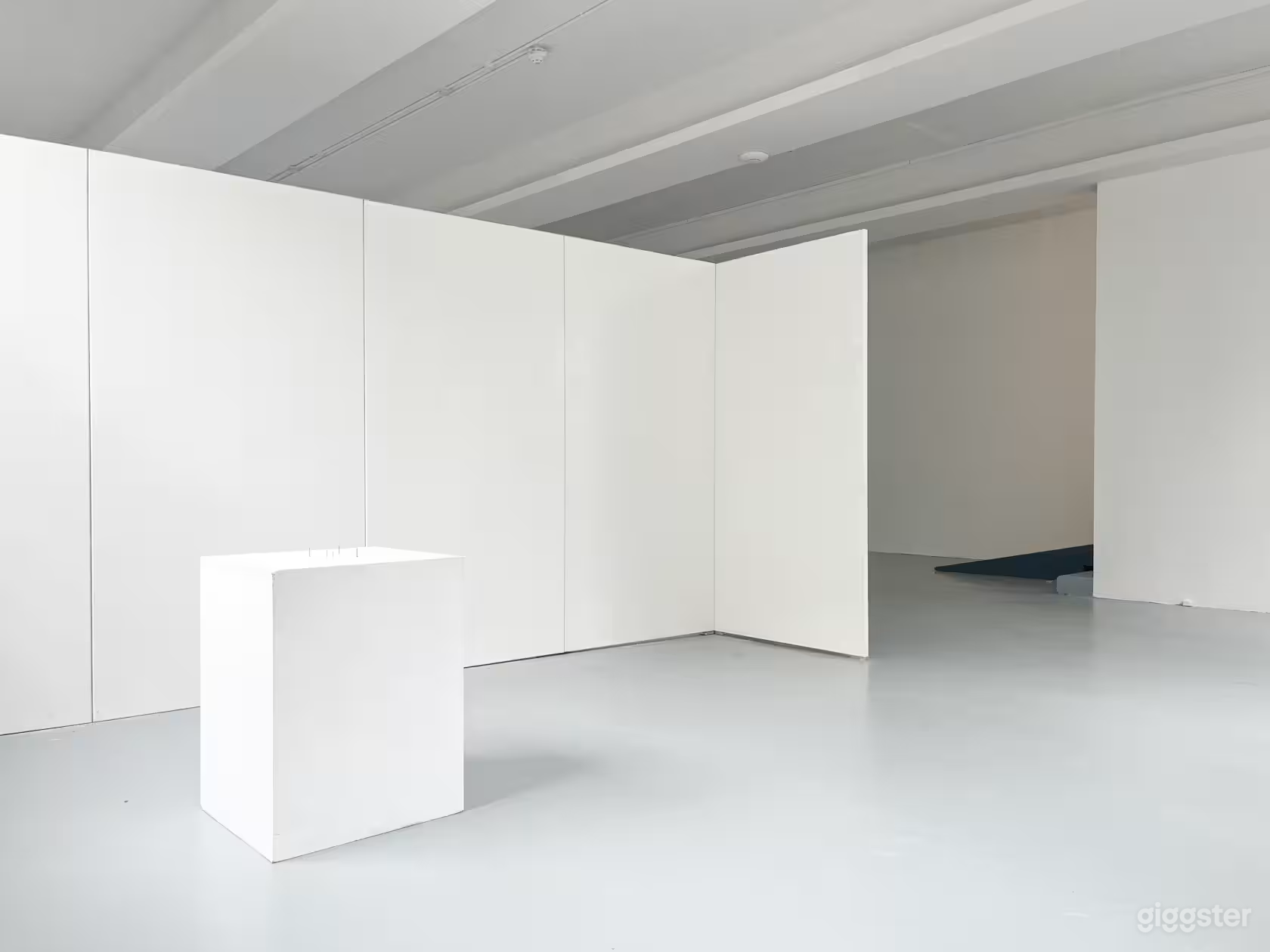 Buyout: Full Gallery Hire Photo 2