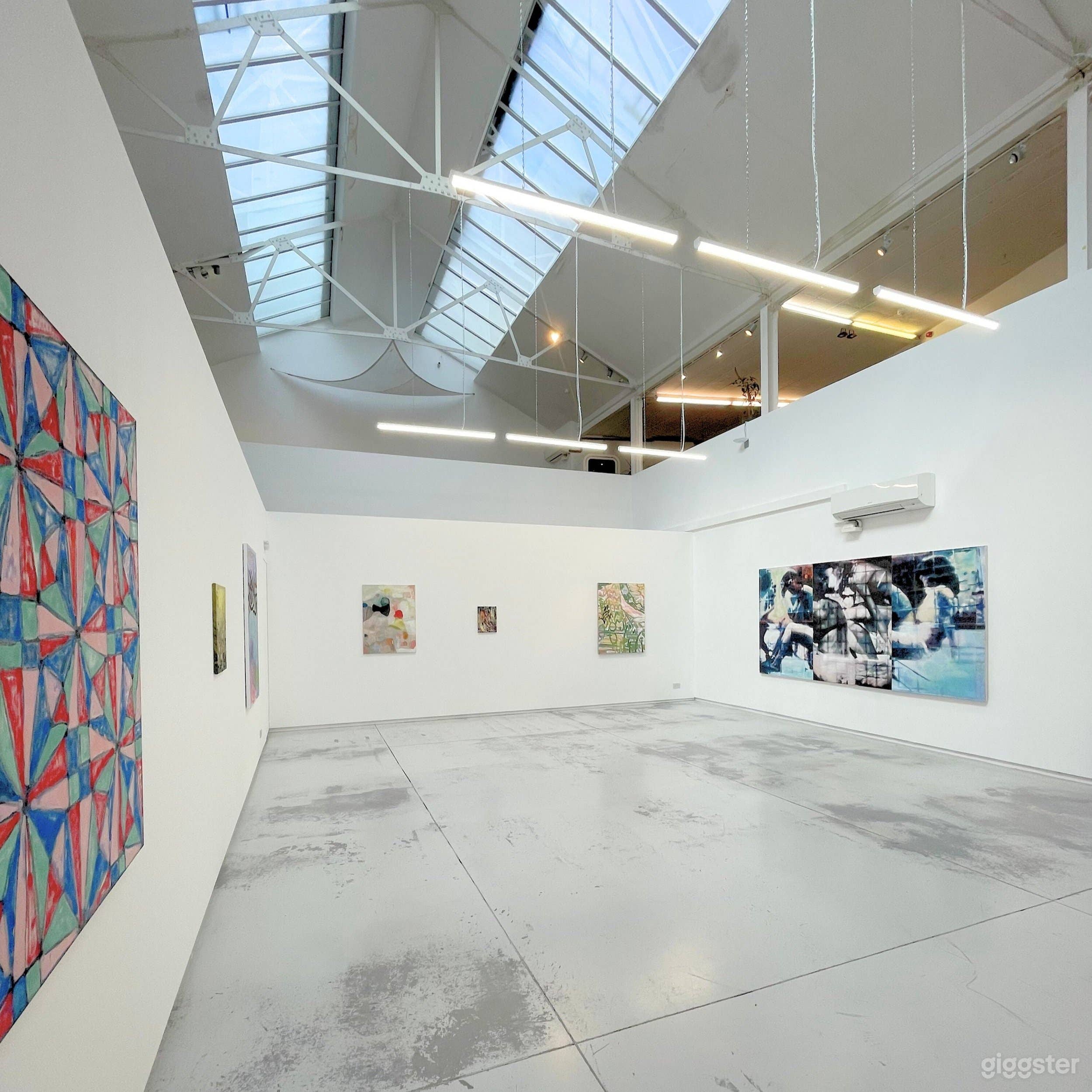 Buyout: Full Gallery Hire Photo 3