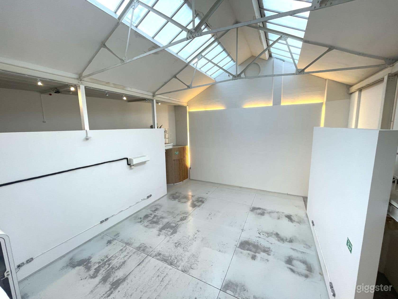 Buyout: Full Gallery Hire Photo 4