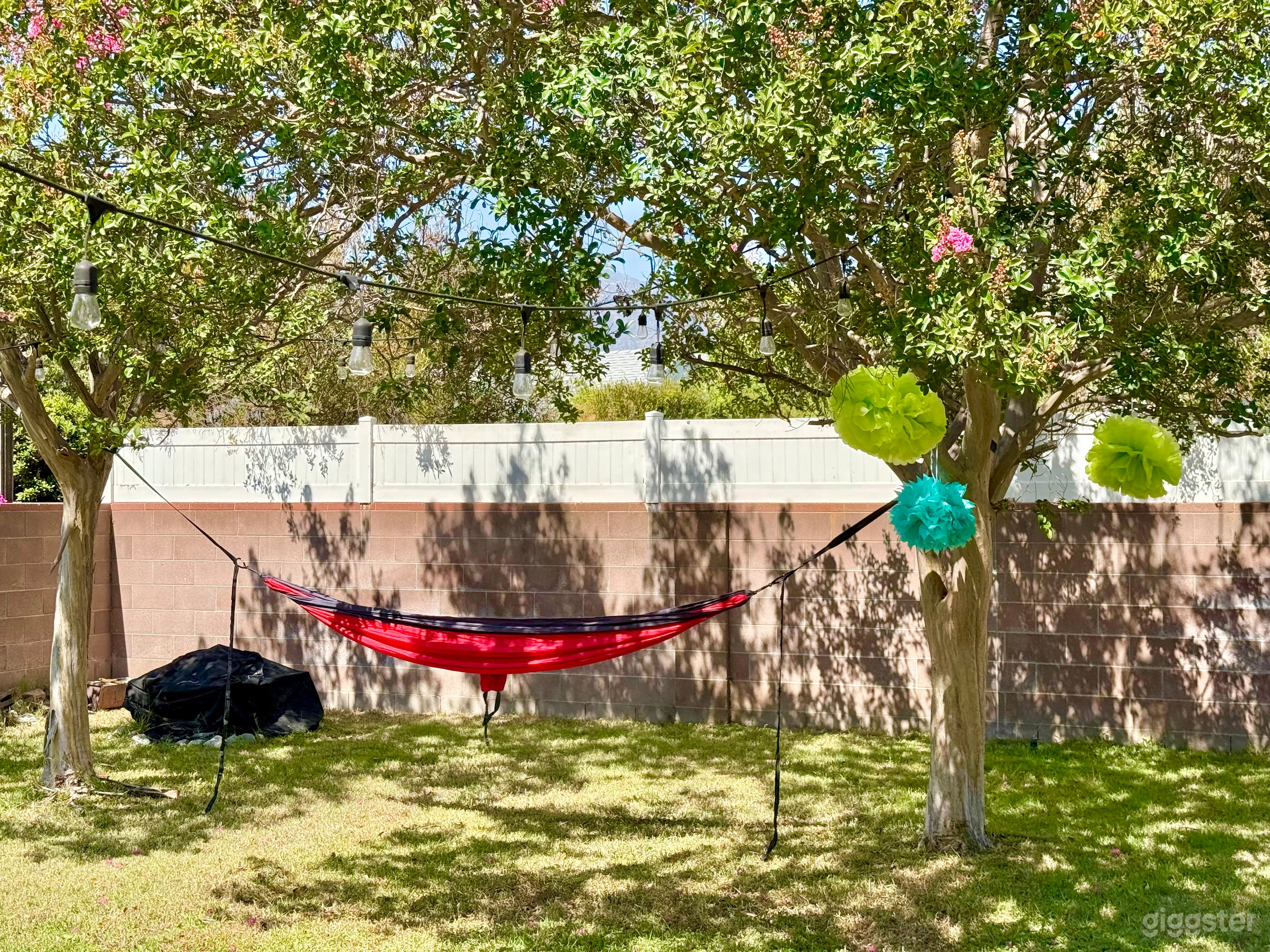 Large Grassy Yard, 1 empty bedroom Photo 3