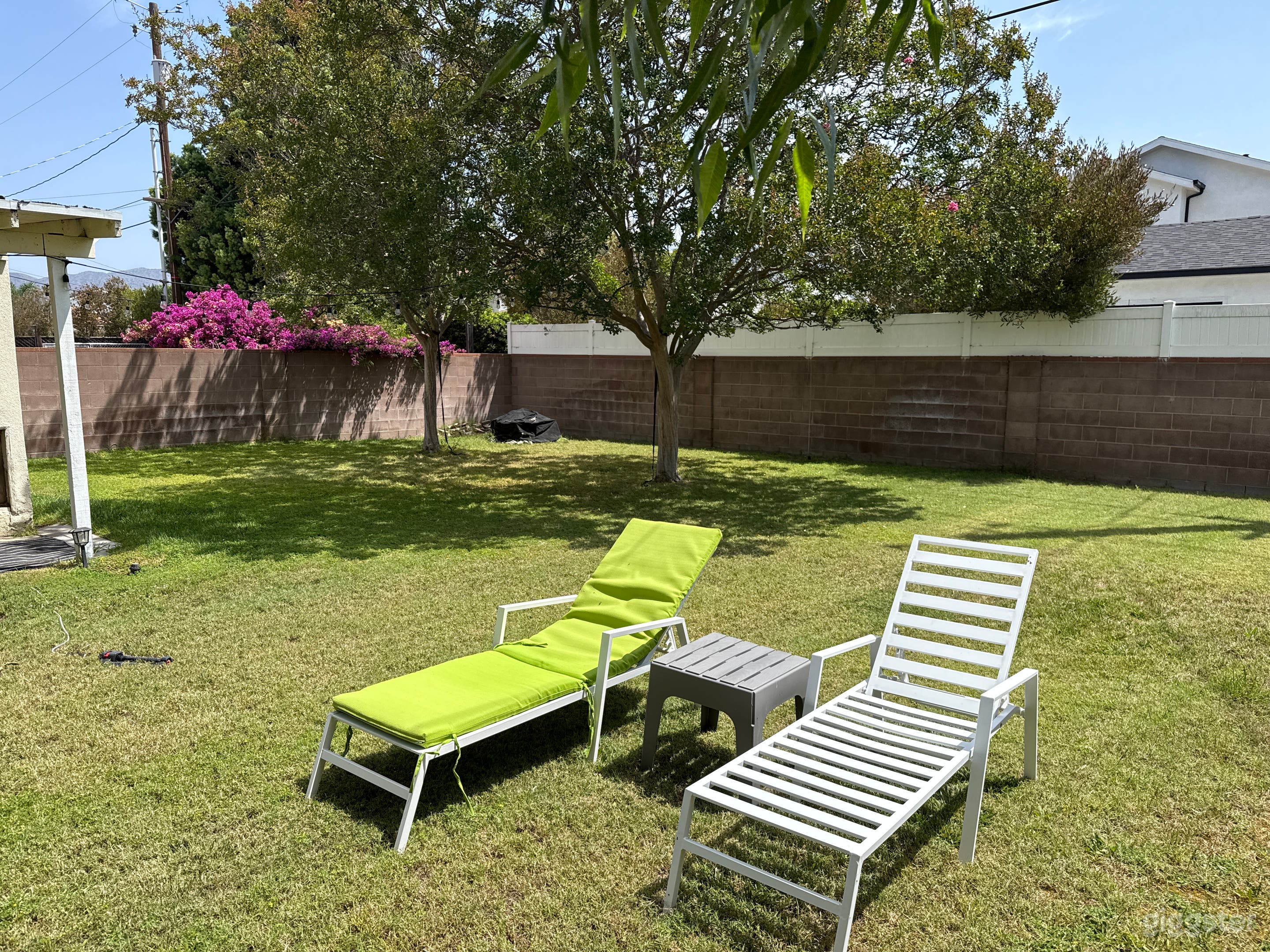 Large Grassy Yard, 1 empty bedroom Photo 4