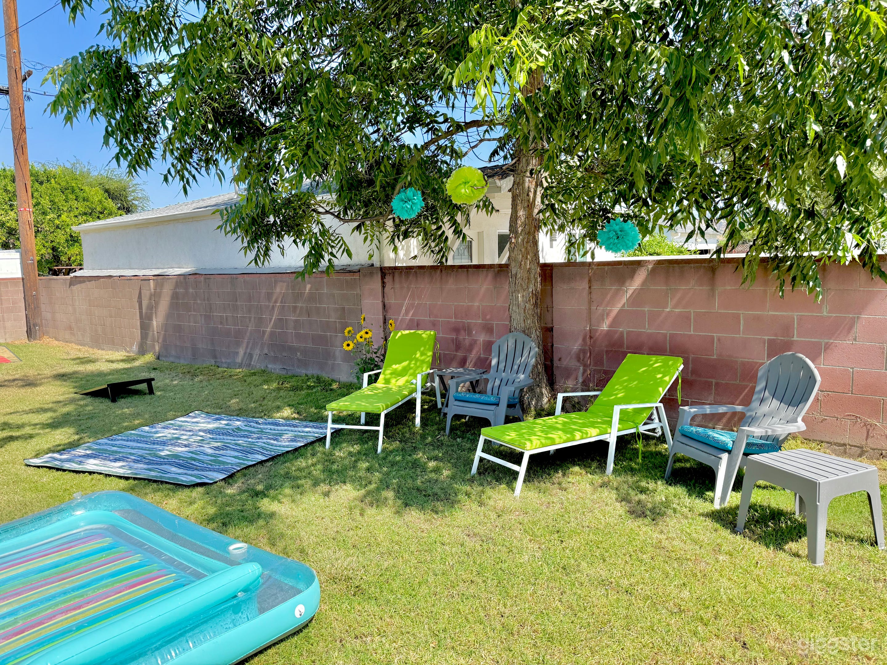 Large Grassy Yard, 1 empty bedroom Photo 1