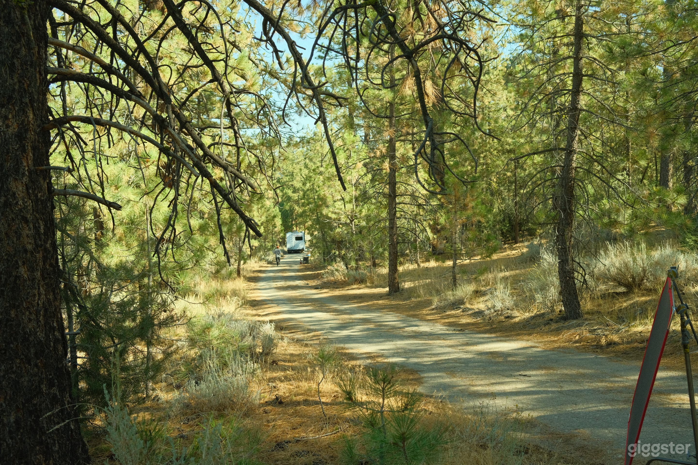 Rustic Ranch with 10 acres of National Forestry Photo 1