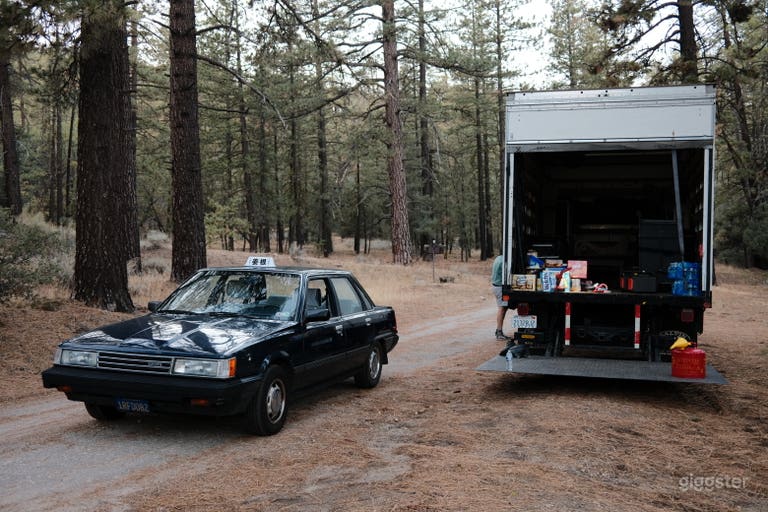  Rustic Ranch with 10 acres of National Forestry 