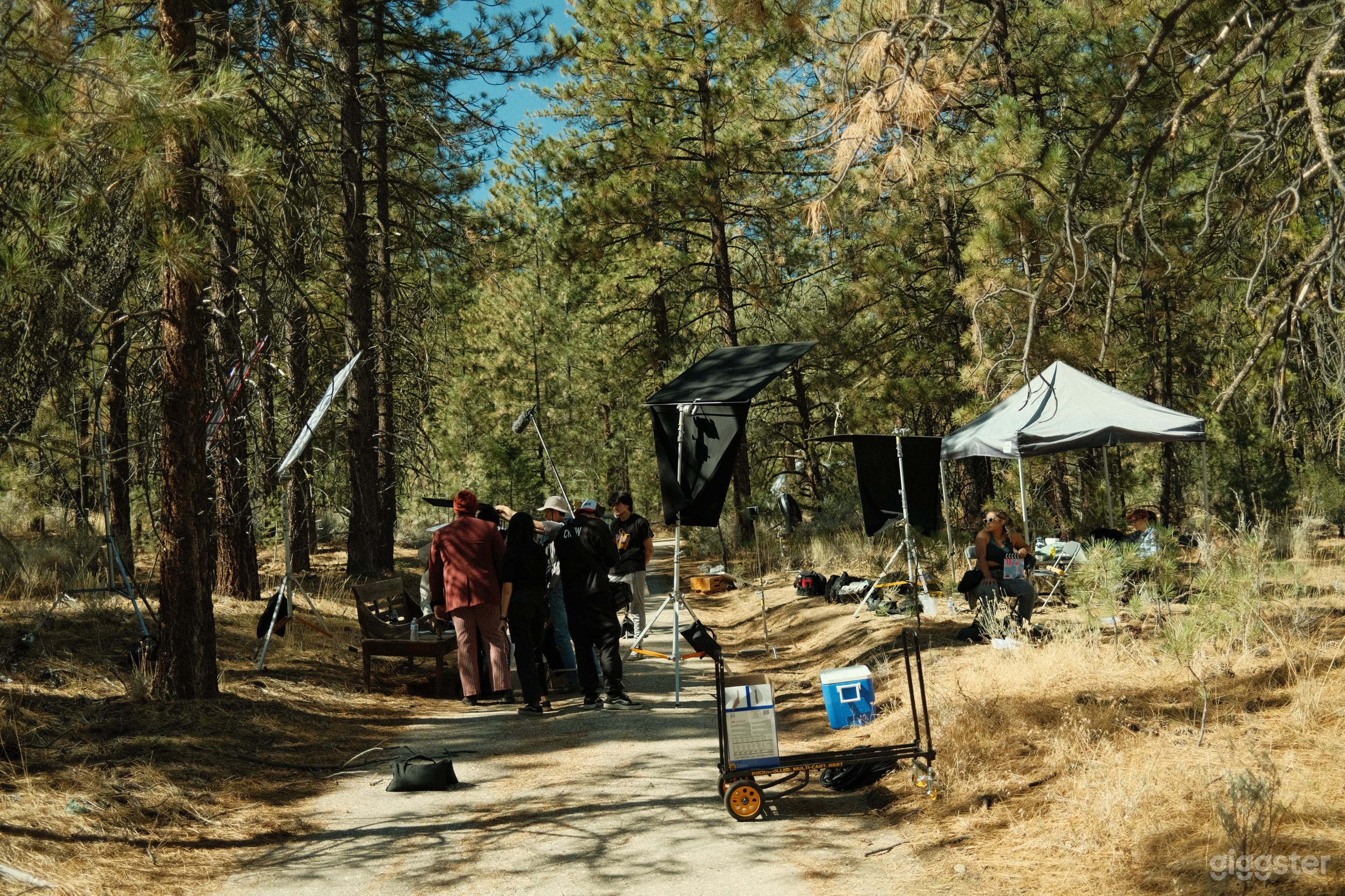 Rustic Ranch with 10 acres of National Forestry Photo 2