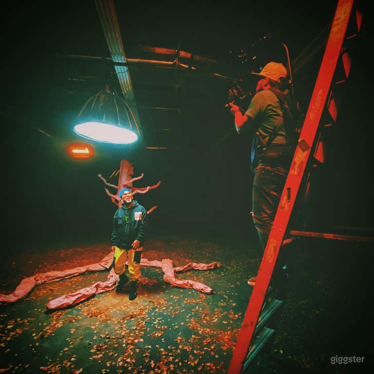  Stage F - Blackout Stage 