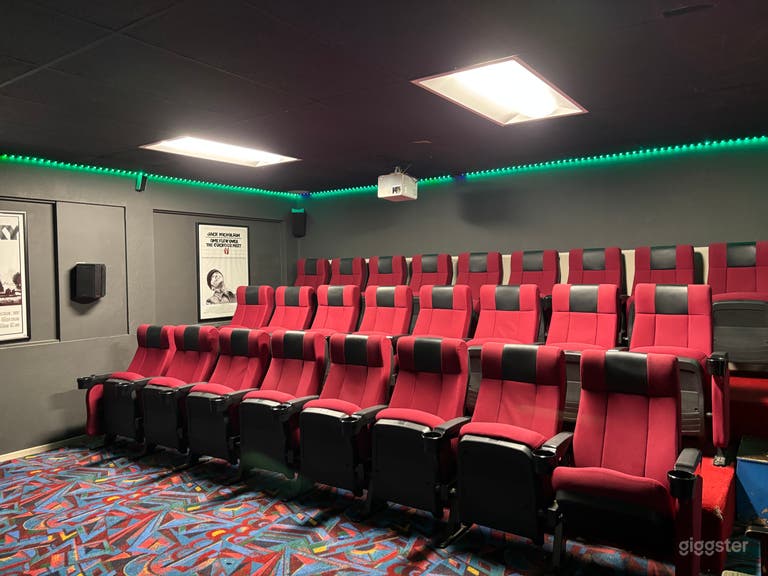  Salle de projection privée pour visionnage de films et présentations 