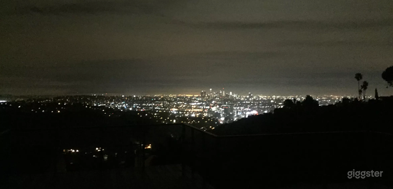  Night Shot from the Roof Deck 