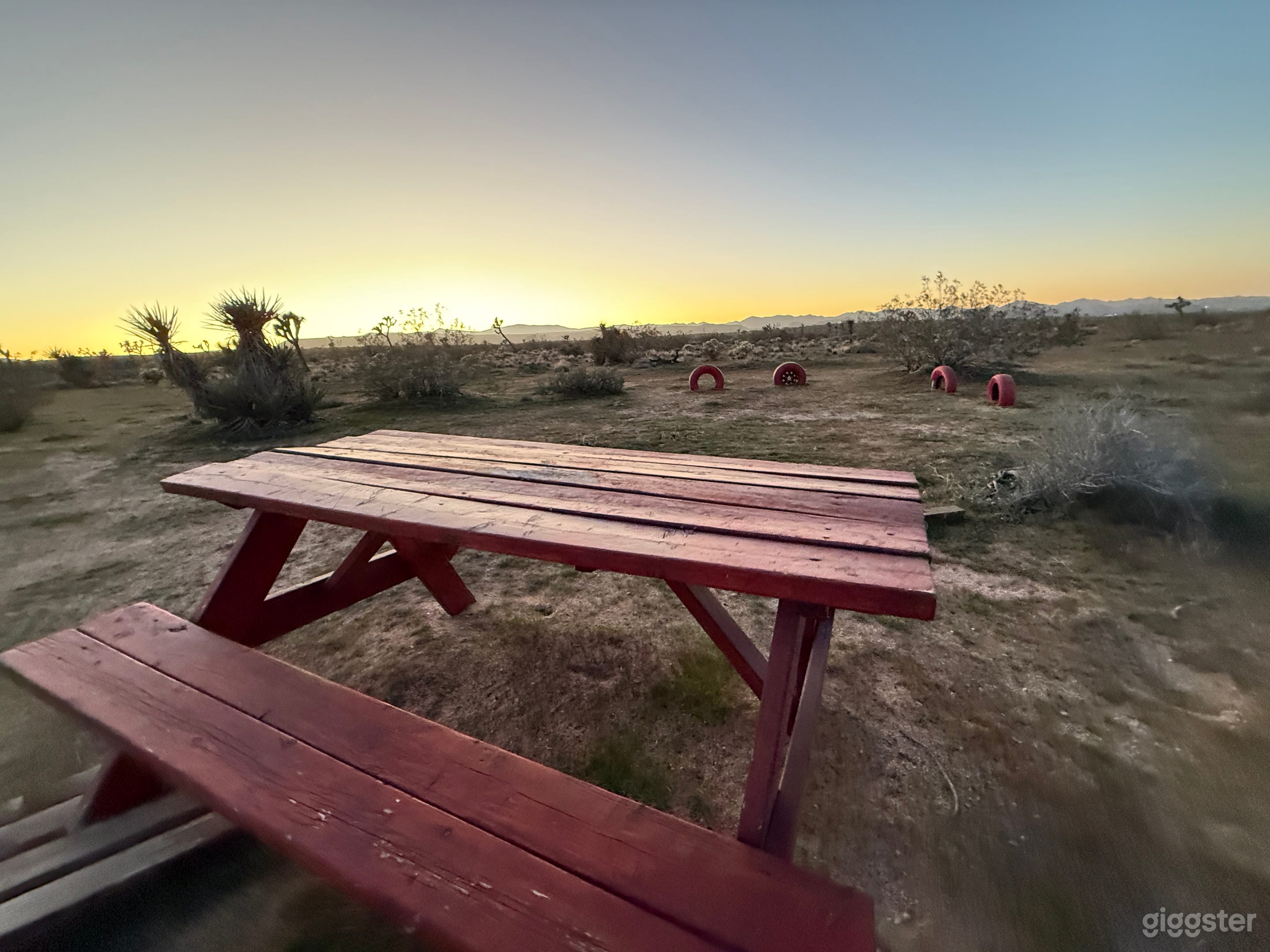 Joshua Trees & Mountain Horizons Photo 2
