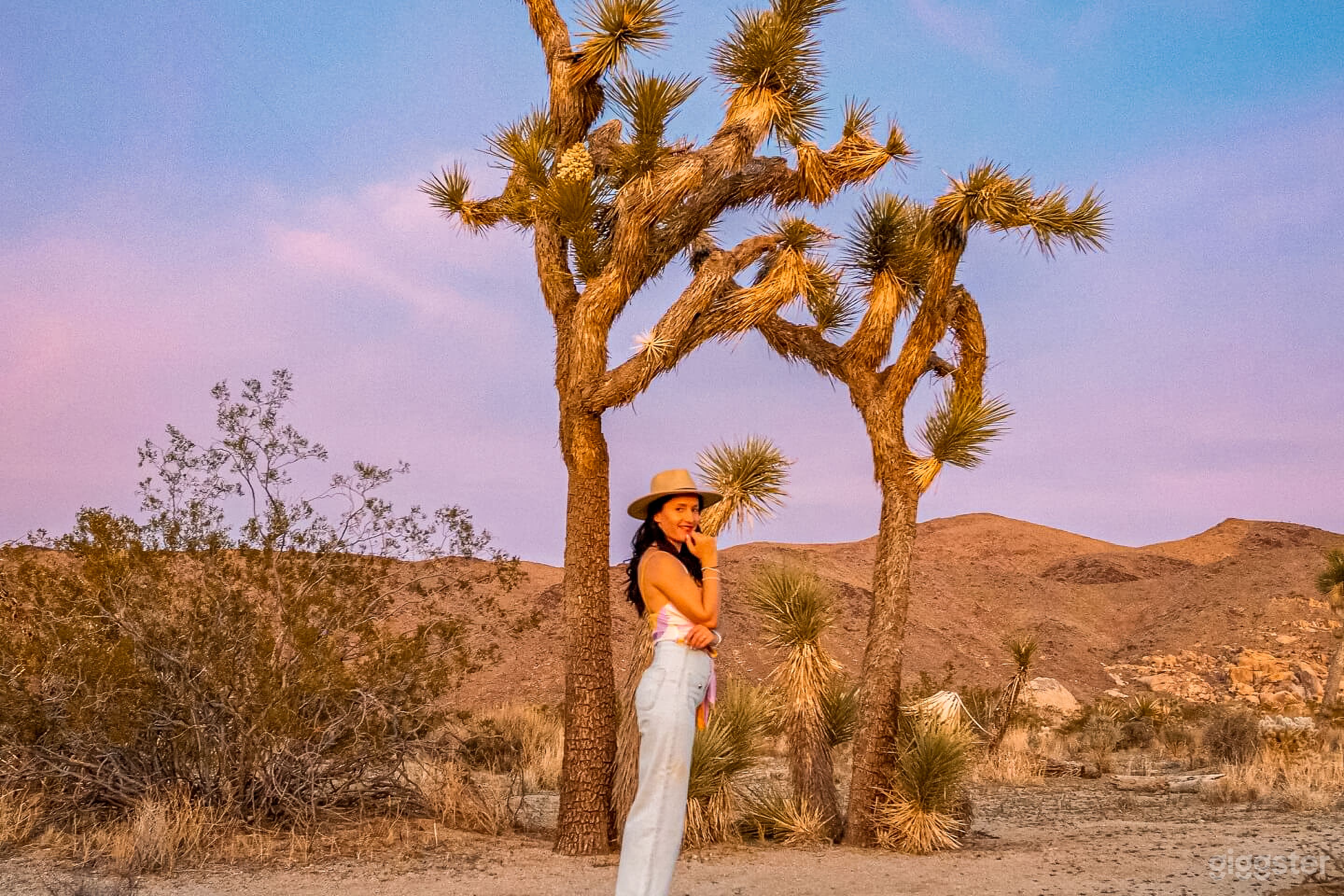 Joshua Trees & Mountain Horizons Photo 1