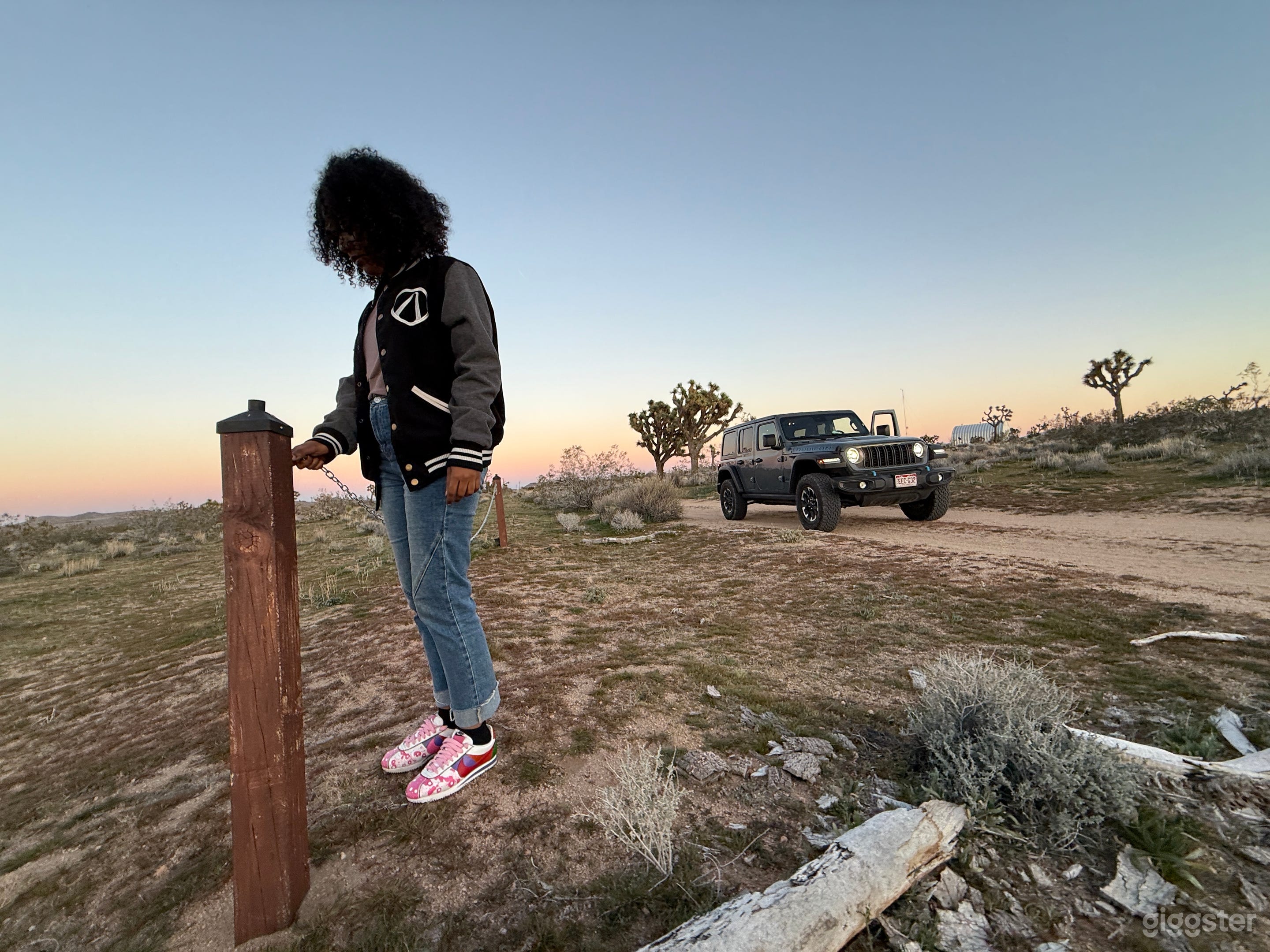 Joshua Trees & Mountain Horizons Photo 3