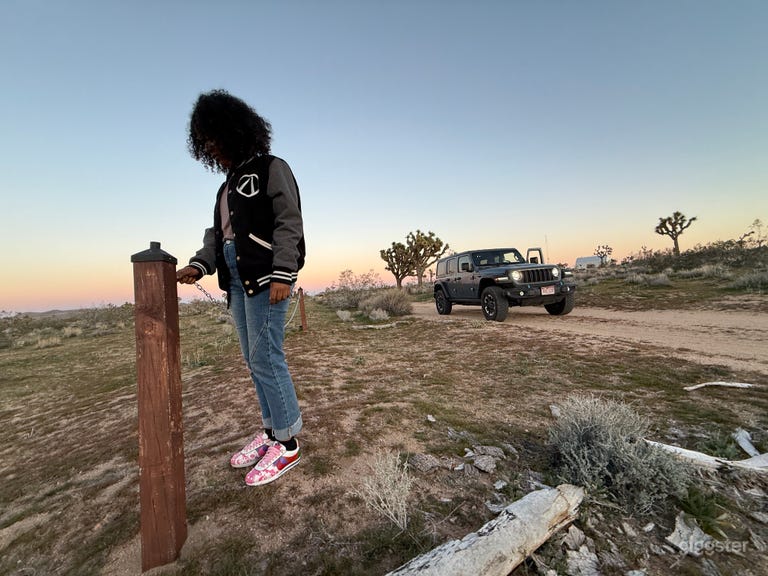  Joshua Trees & Mountain Horizons 