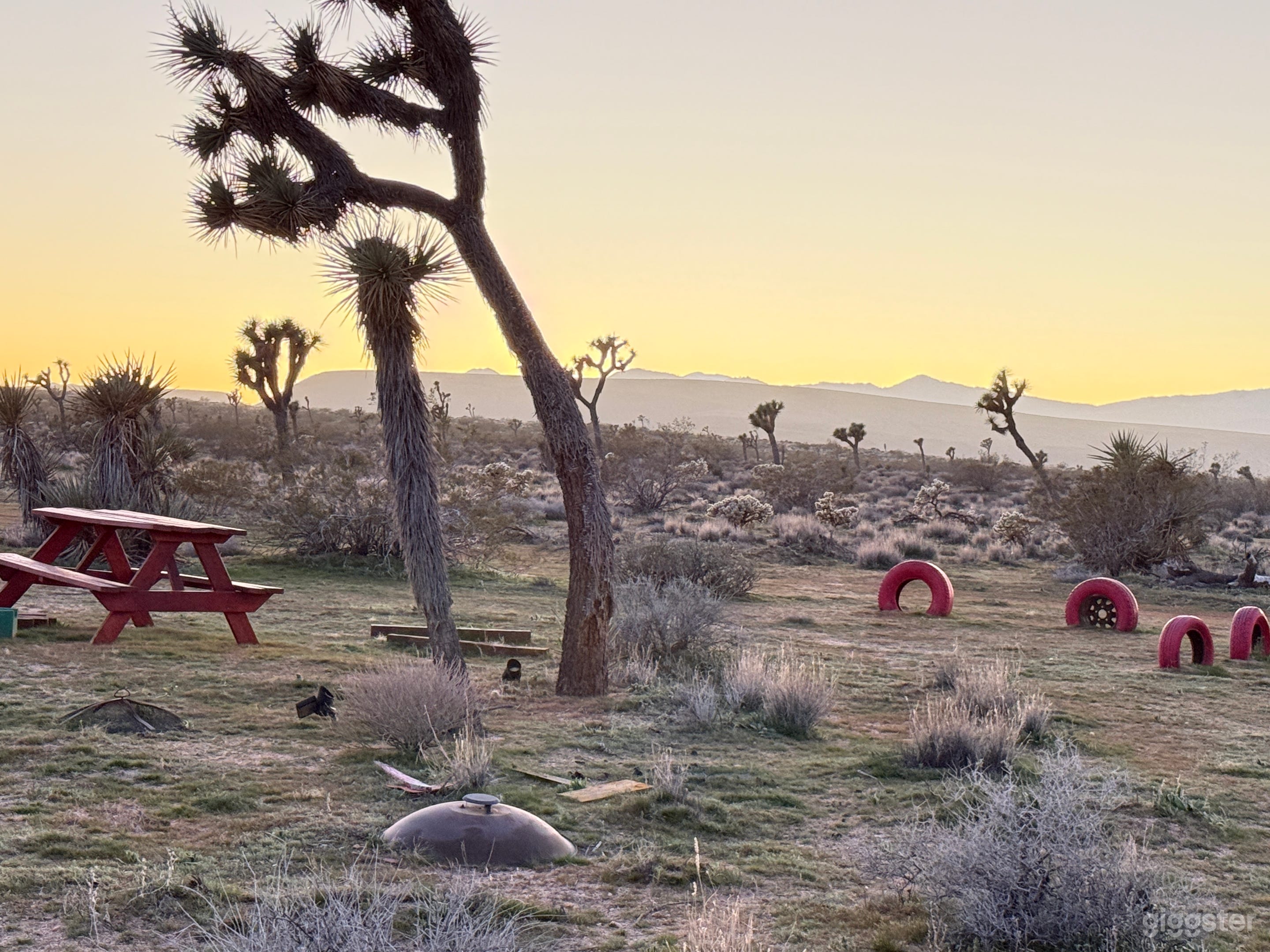 Joshua Trees & Mountain Horizons Photo 2
