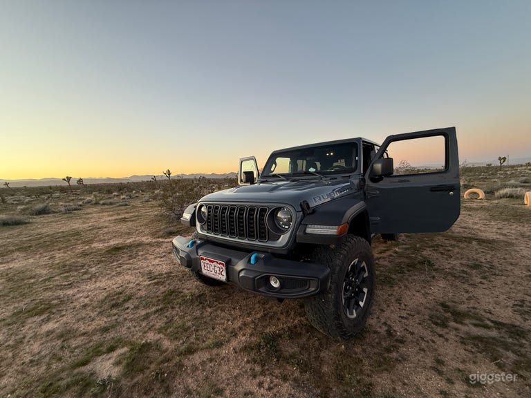  Joshua Trees & Mountain Horizons 