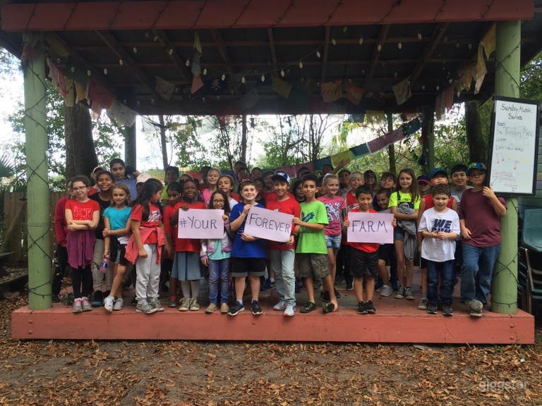  Spacious Outdoor Farm 