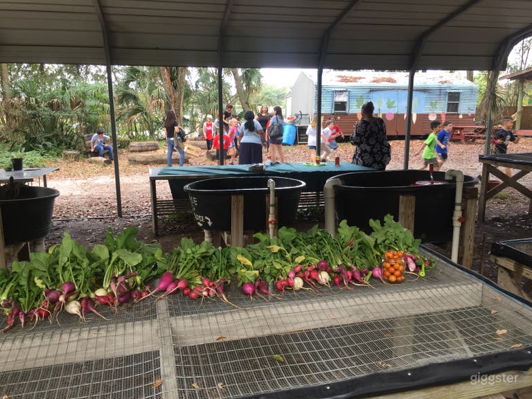  Spacious Outdoor Farm 