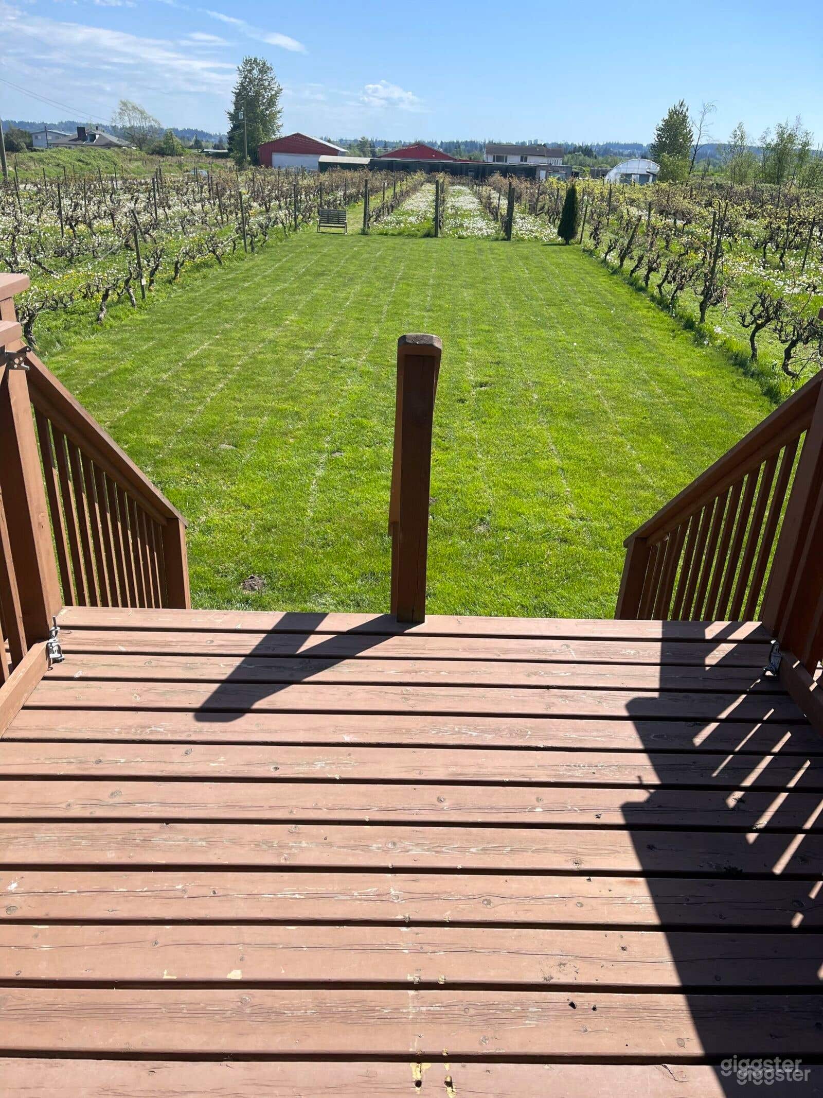 Patio Event Venue with a Beautiful Garden View Photo 2