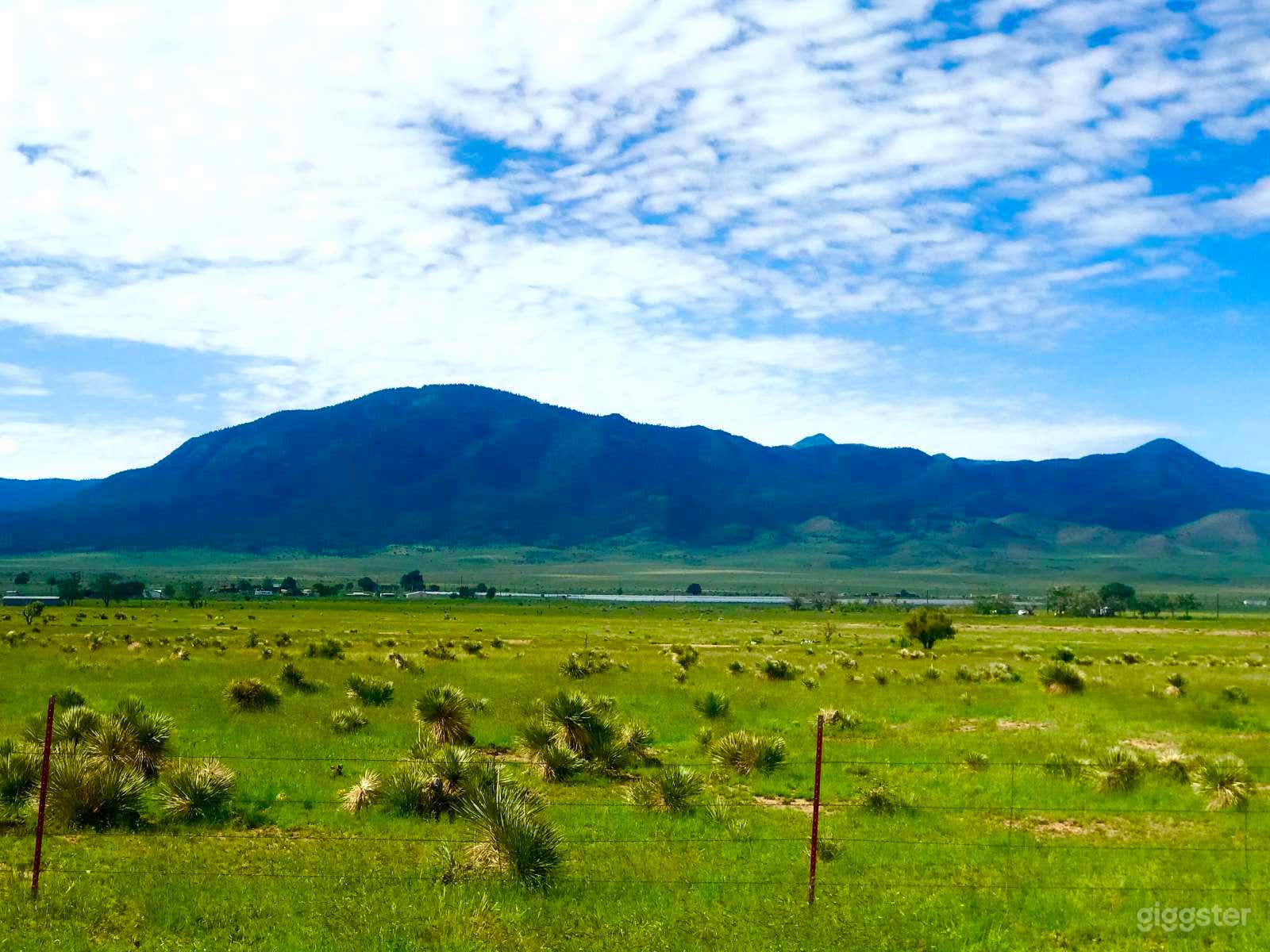 Yucca Crossing--Wild West Delight Photo 3