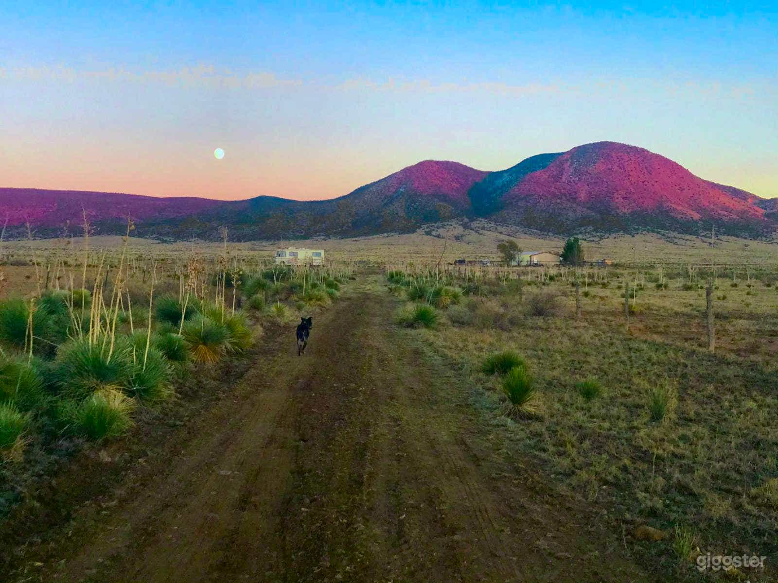 Yucca Crossing--Wild West Delight Photo 4