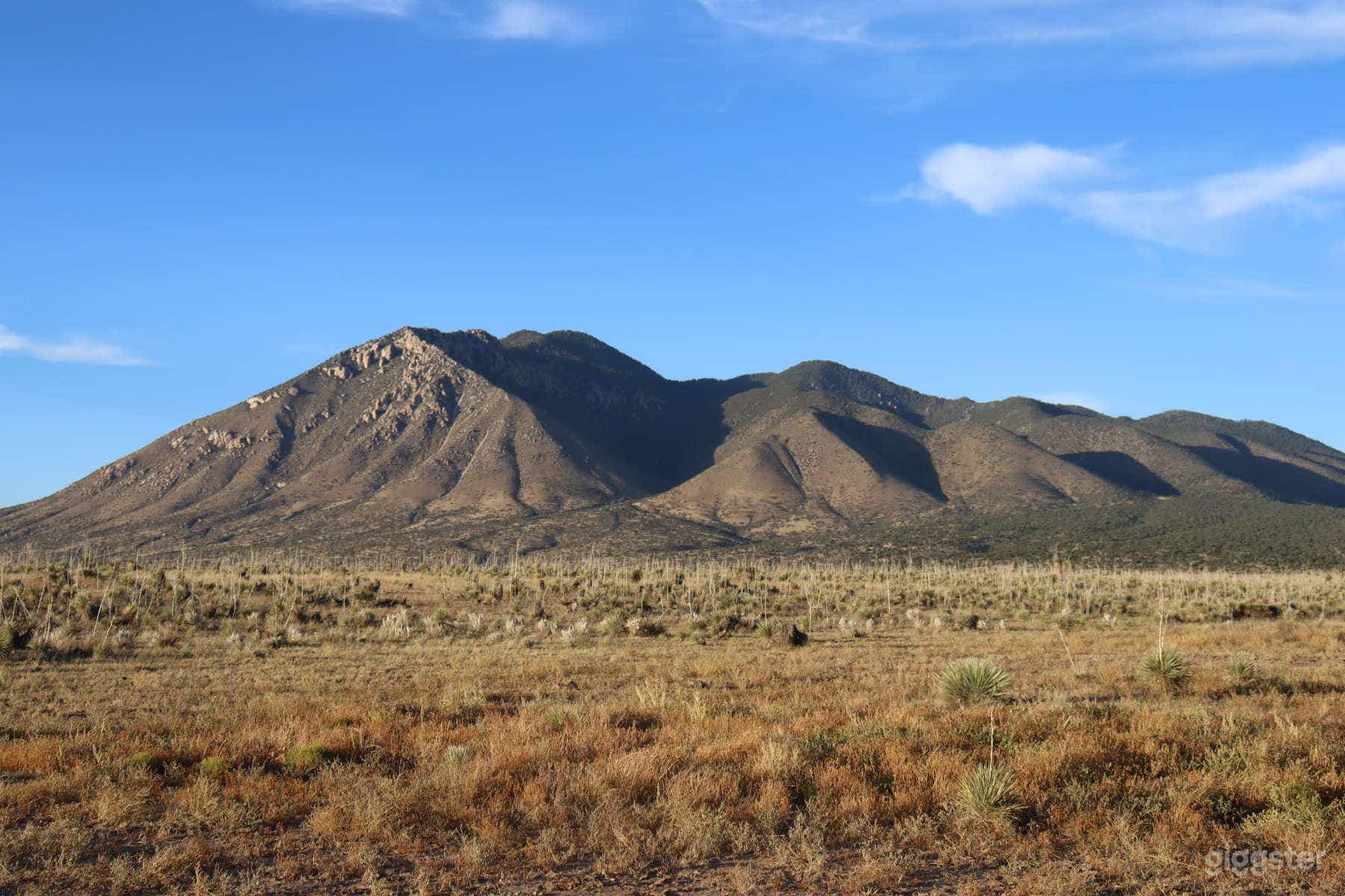 Yucca Crossing--Wild West Delight Photo 1