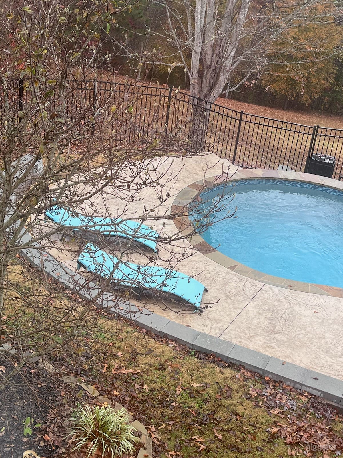 An outdoor pool in a serene oasis  Photo 4