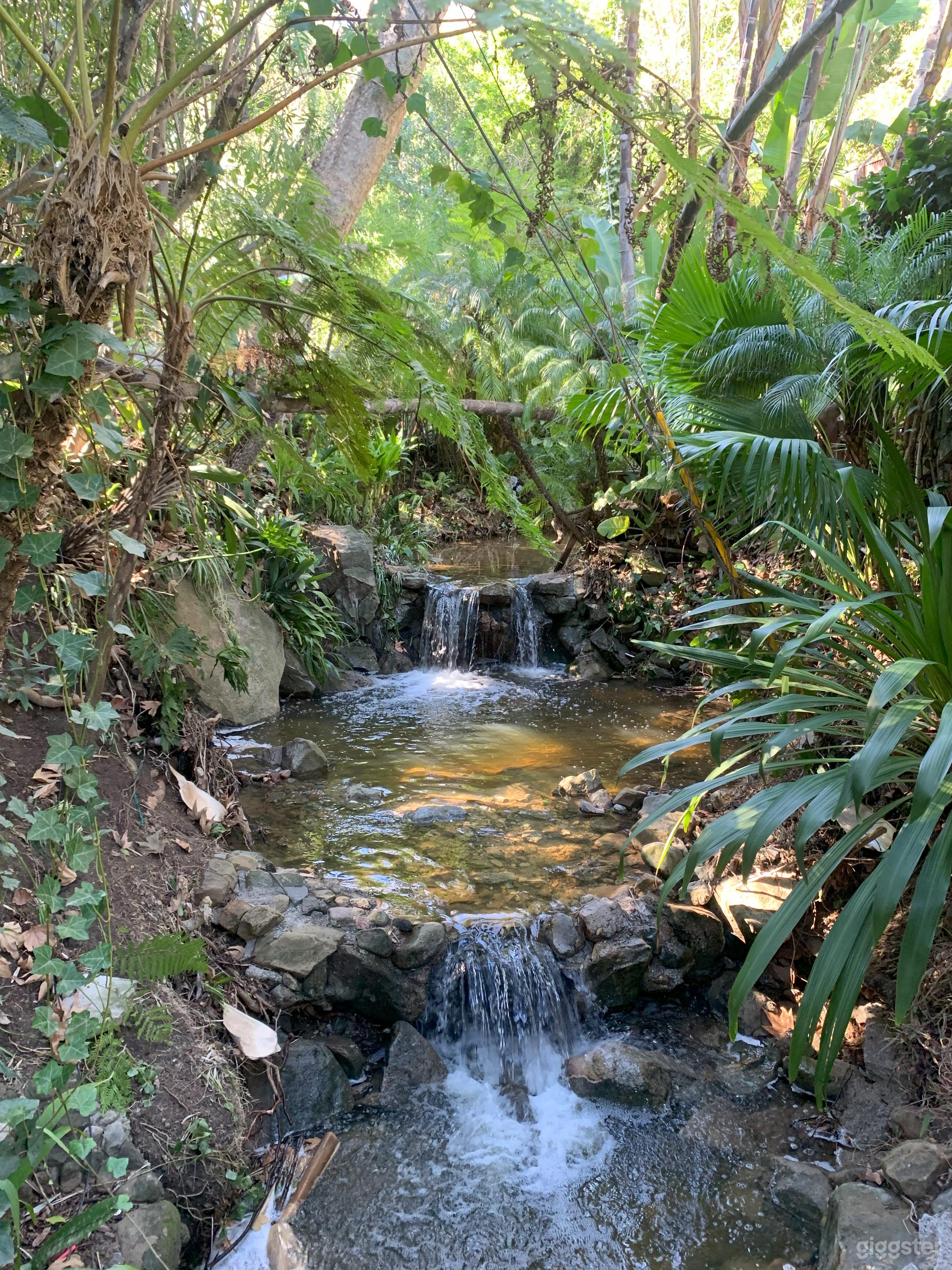 Eclectic Paradise Getaway with Waterfalls Photo 4