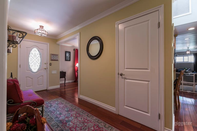  Large Americana House & Outdoor Basketball and Picklebal 