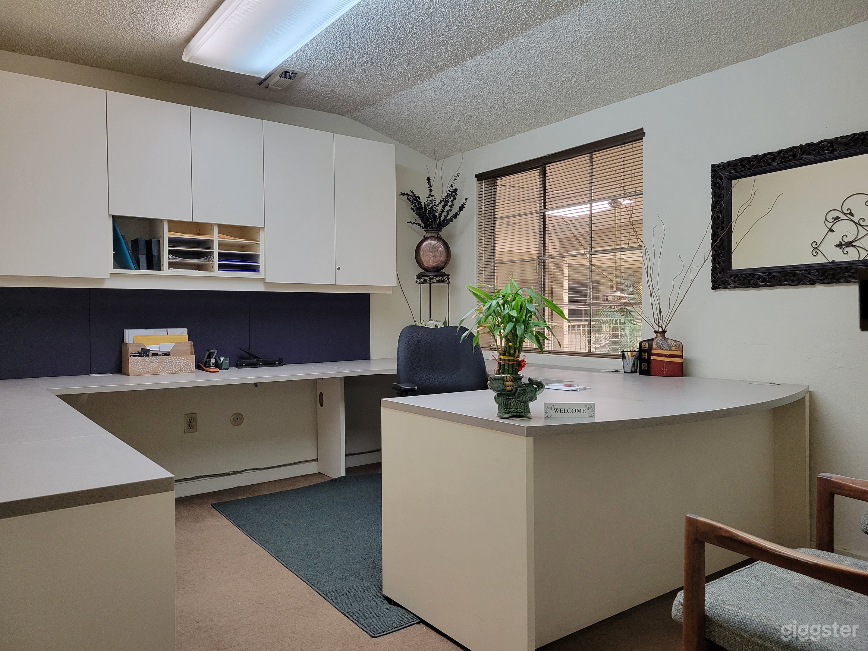 Spacious Desk and Private Office Photo 1