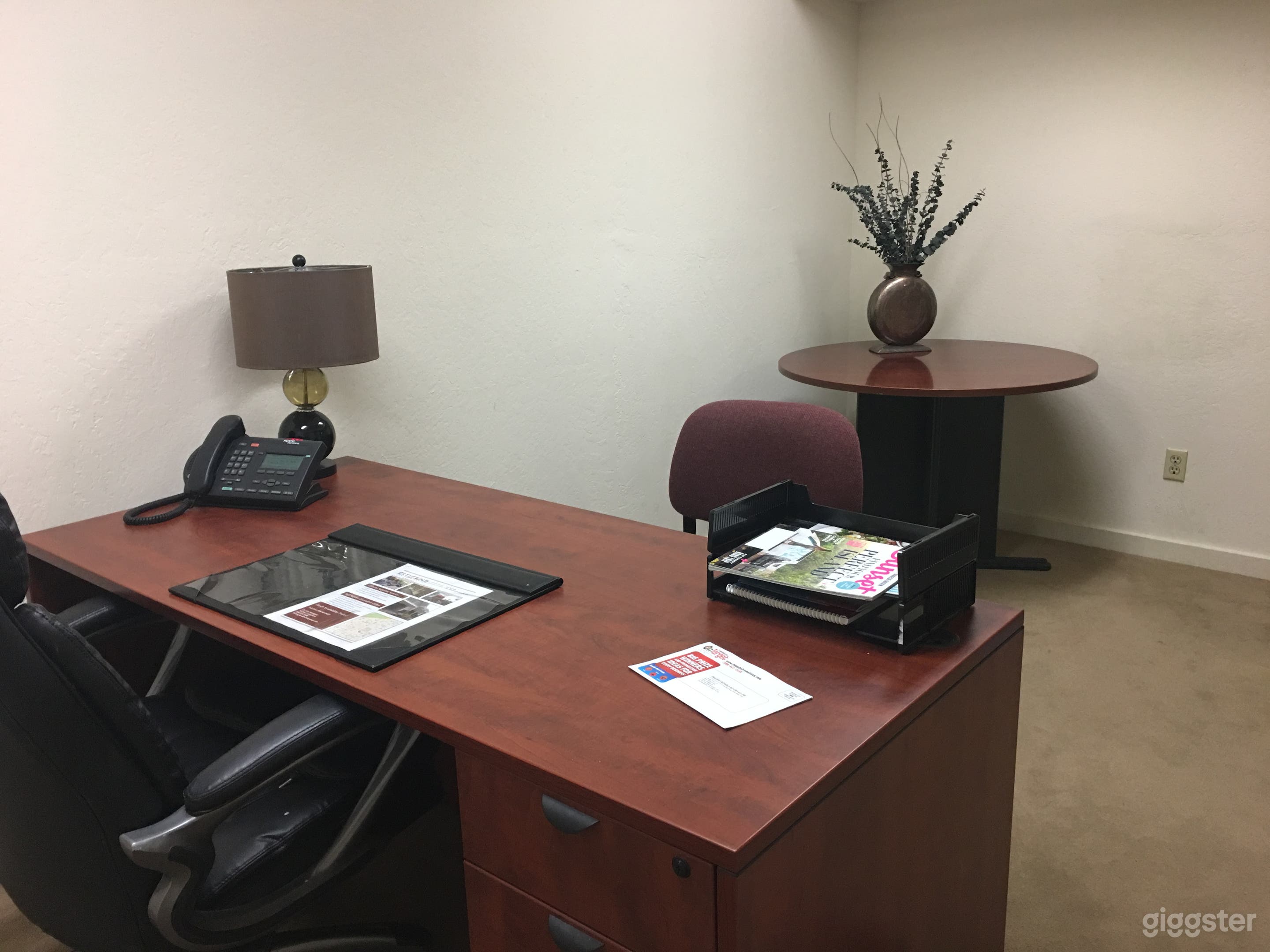Spacious Desk and Private Office Photo 3