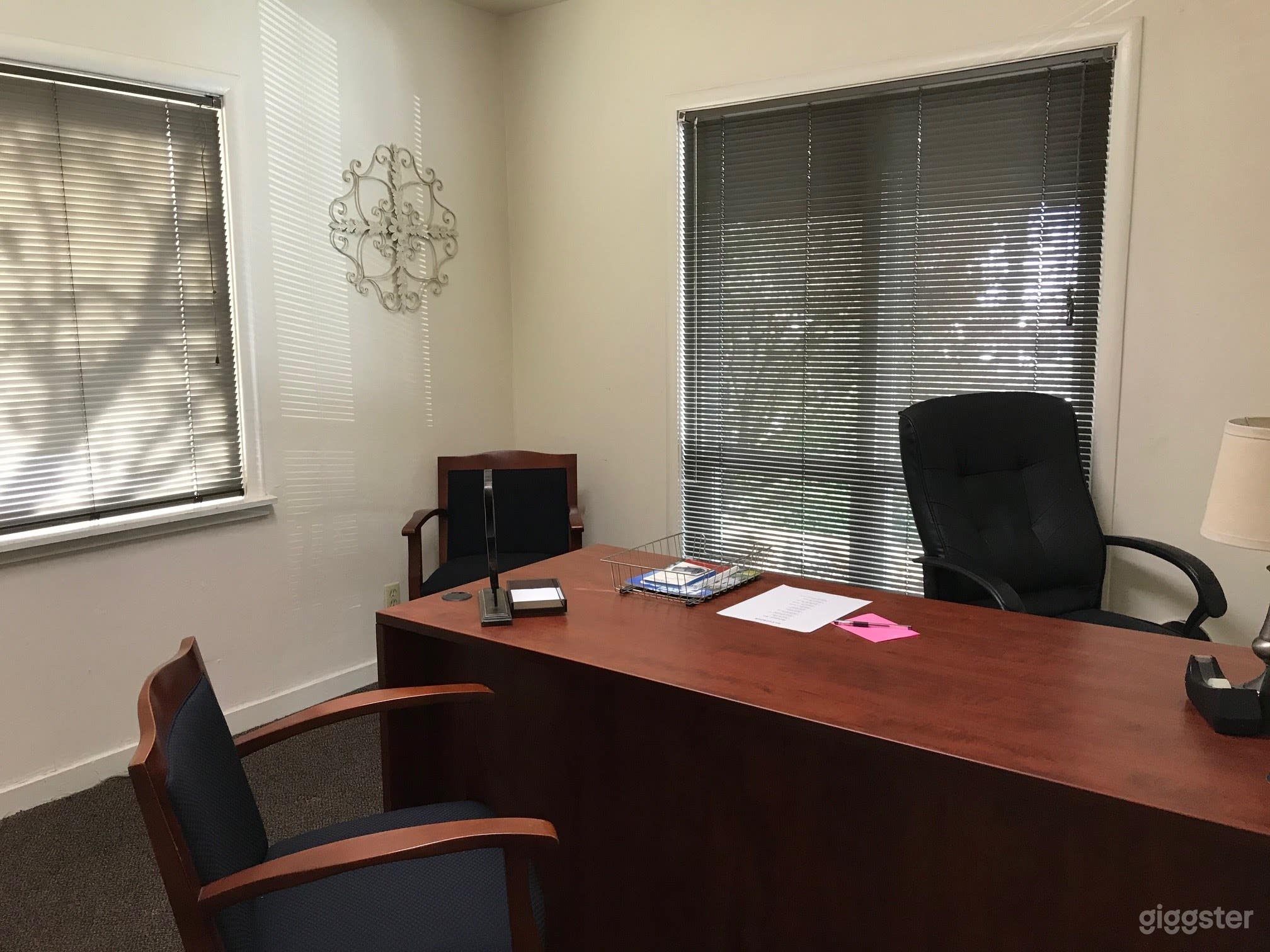Spacious Desk and Private Office Photo 1