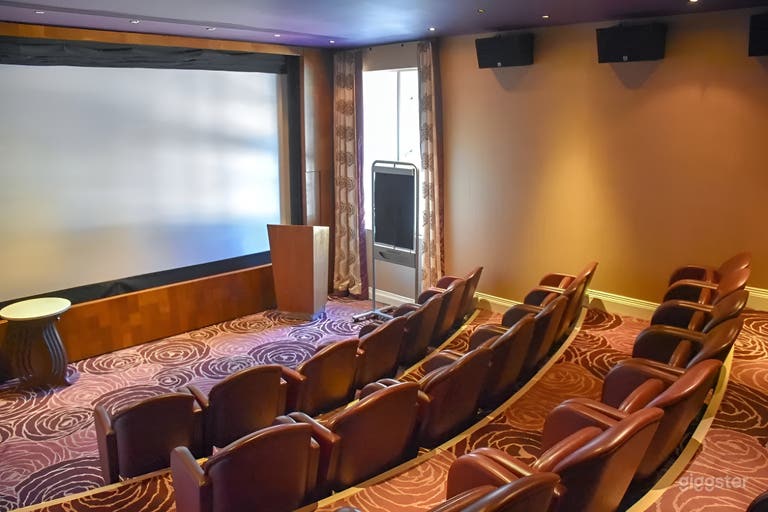  The Upstage Mini Cinema 