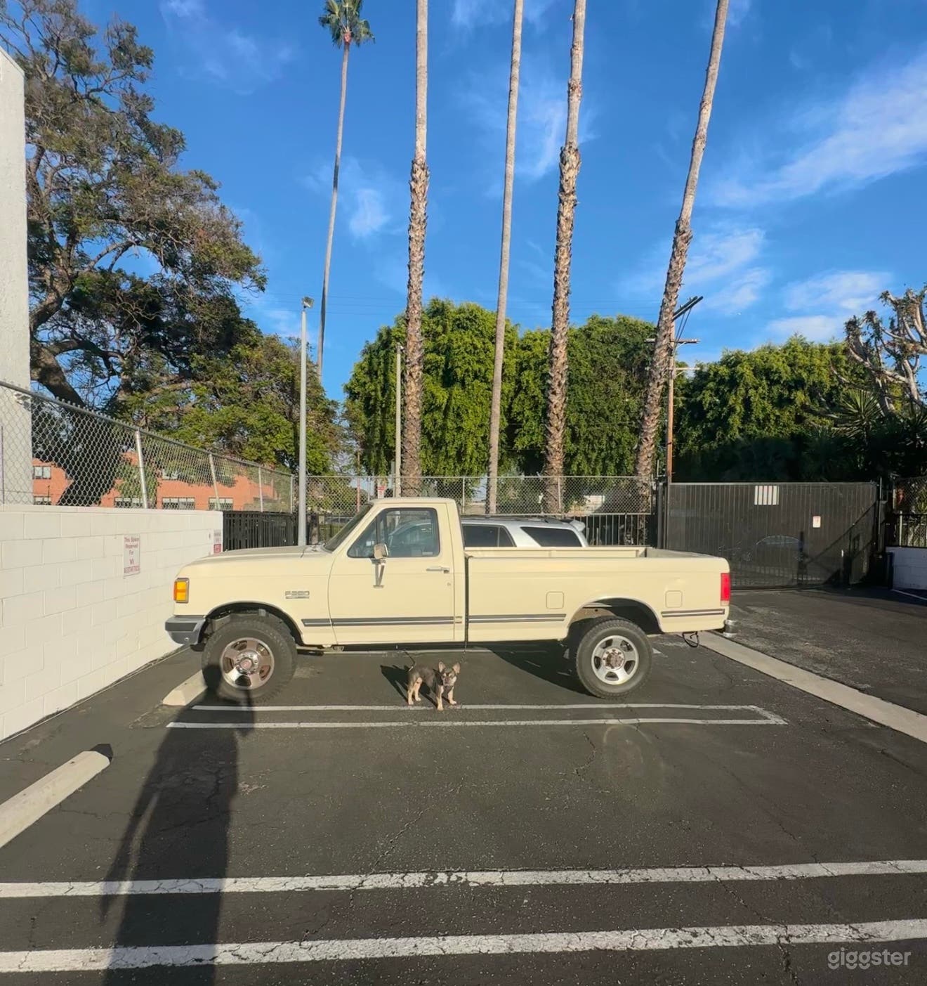 1990 Cream Ford F-250 Lariat in Hollywood Photo 3