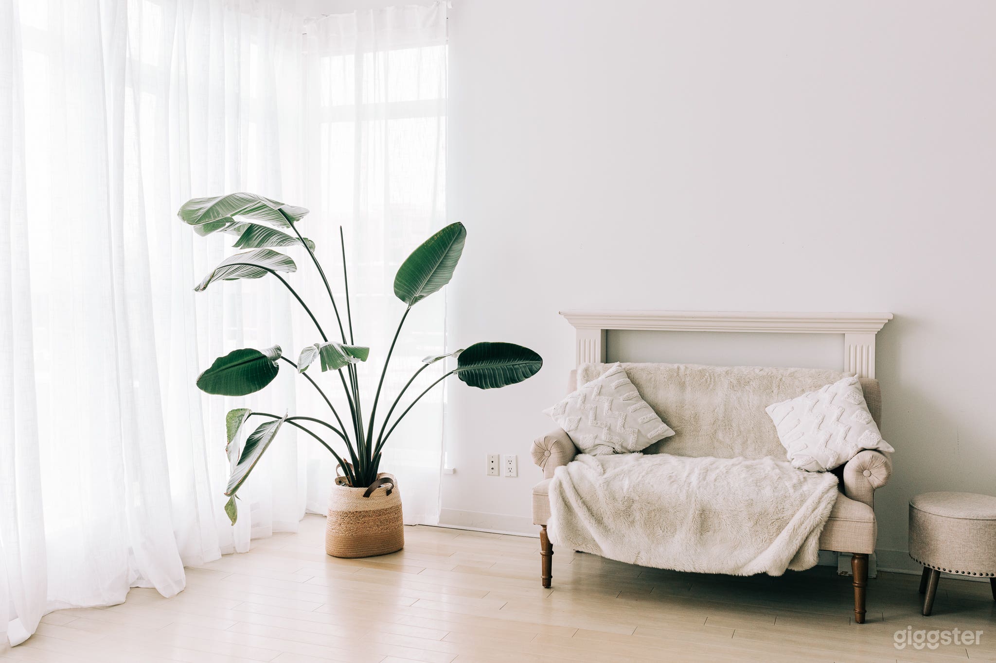 Langley City Natural Light Studio Photo 2