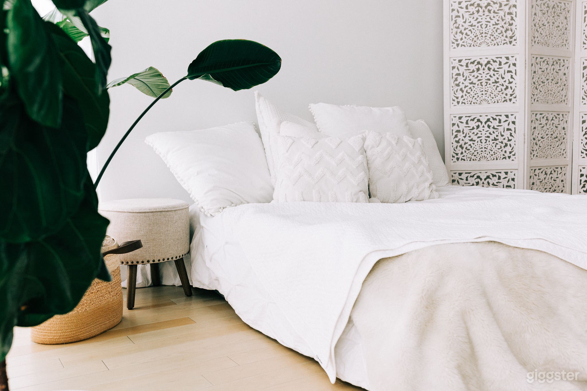 Langley City Natural Light Studio Photo 4