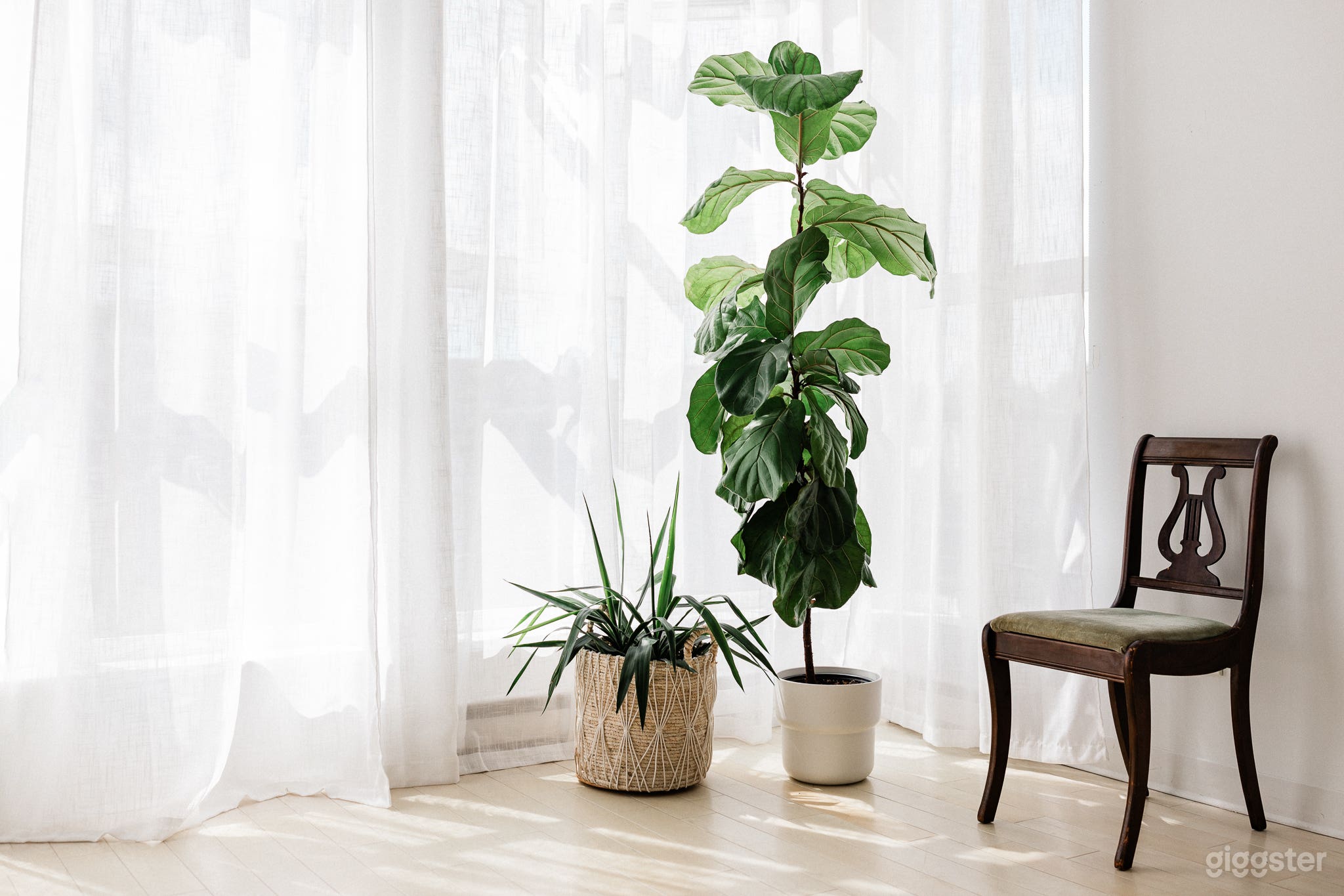 A ton of versatility with a variety of furniture and decor items.
