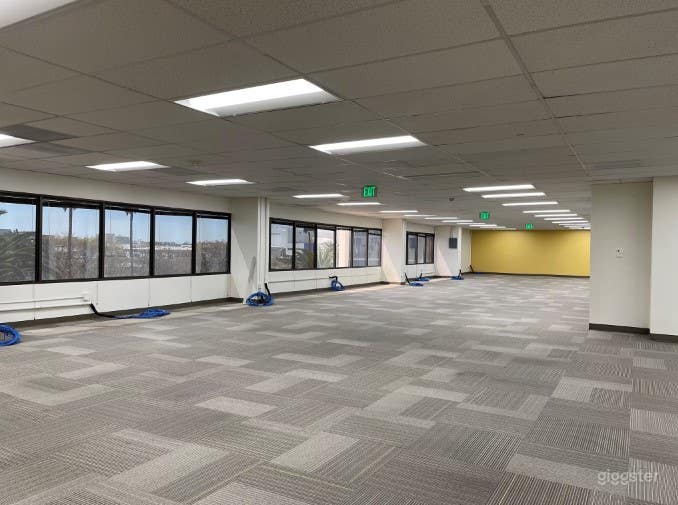 Suite 480: BIRD-OF-PARADISE (LAX) Photo 1