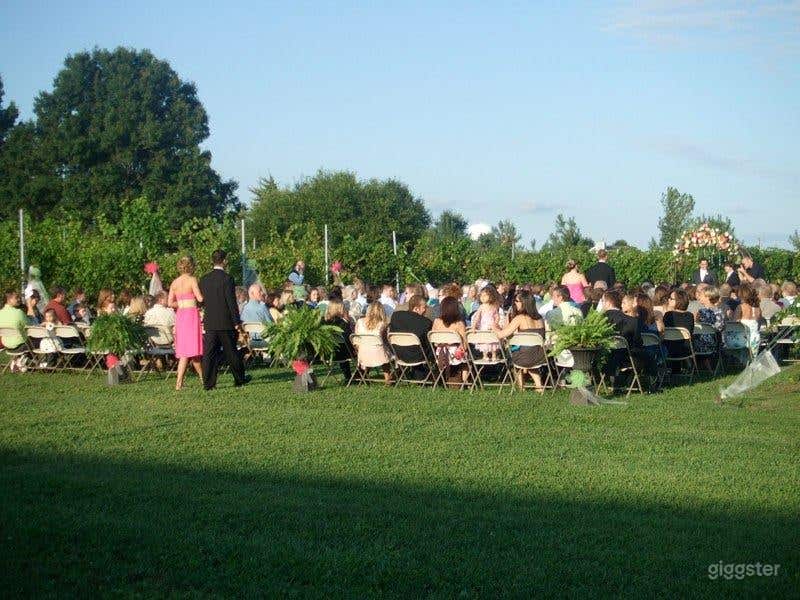 Vineyard Winery Venue - Outdoor Space Photo 2