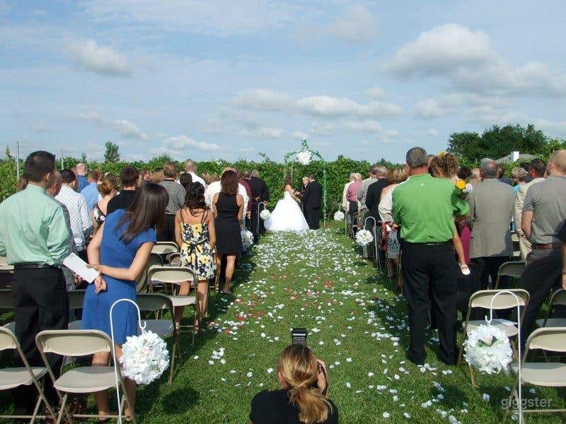 Vineyard Winery Venue - Outdoor Space Photo 1