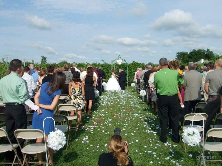  Vineyard Winery Venue - Outdoor Space 