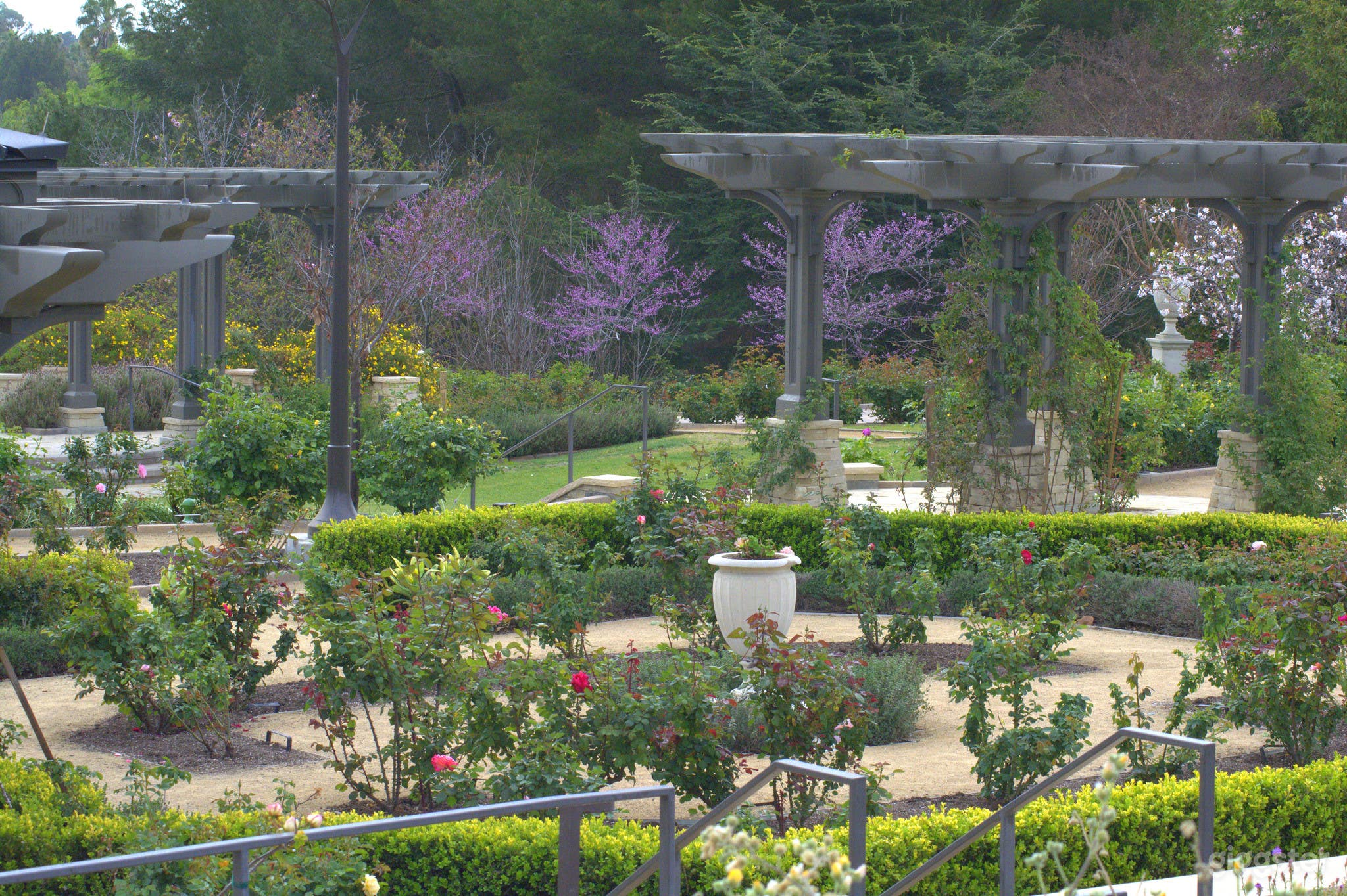 South Coast Botanic Garden Photo 3