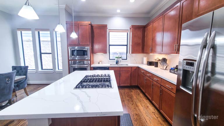  Upscale Luxury Townhouse in The Heights 